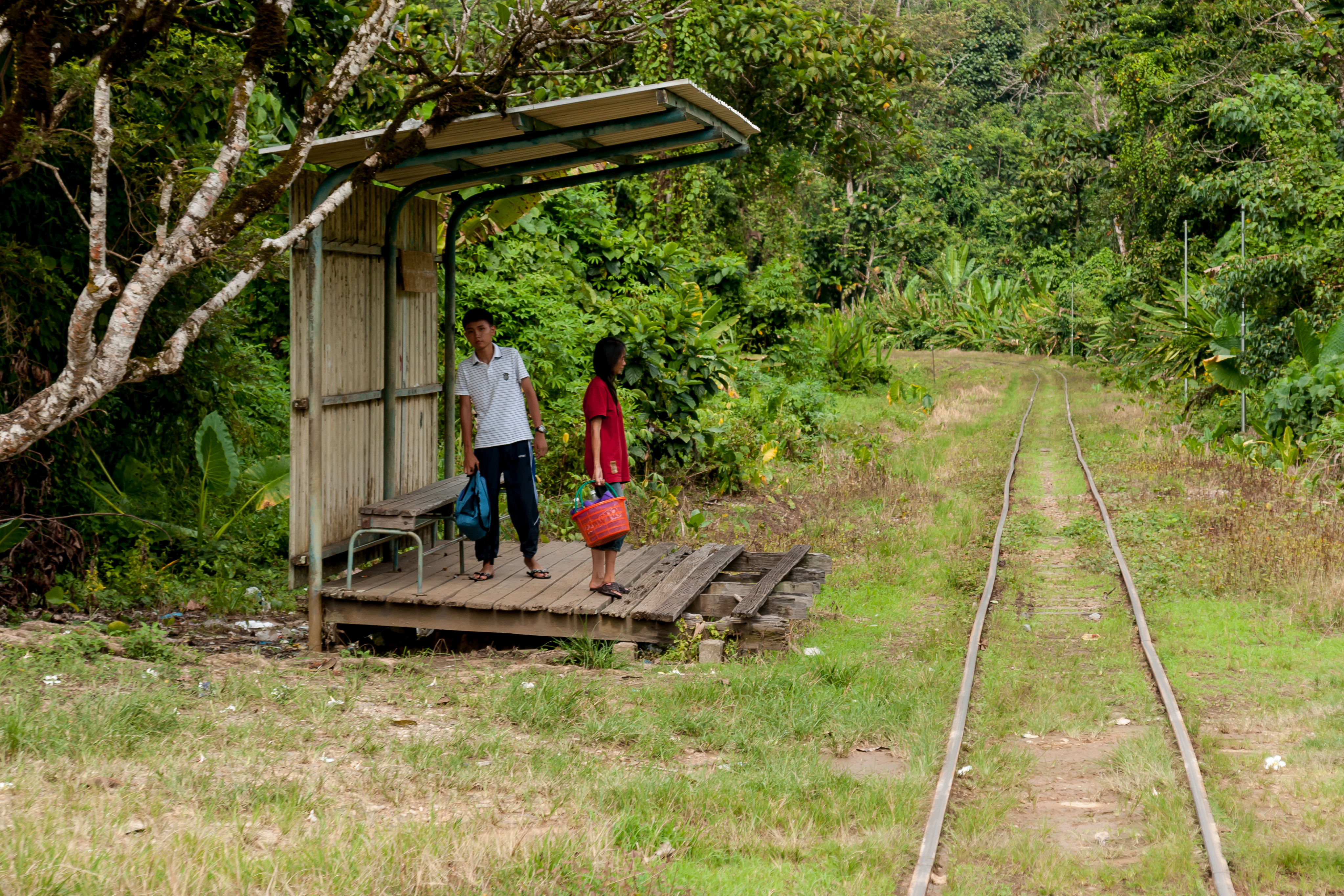 SabahStateRailway JungleStationInPadasValley