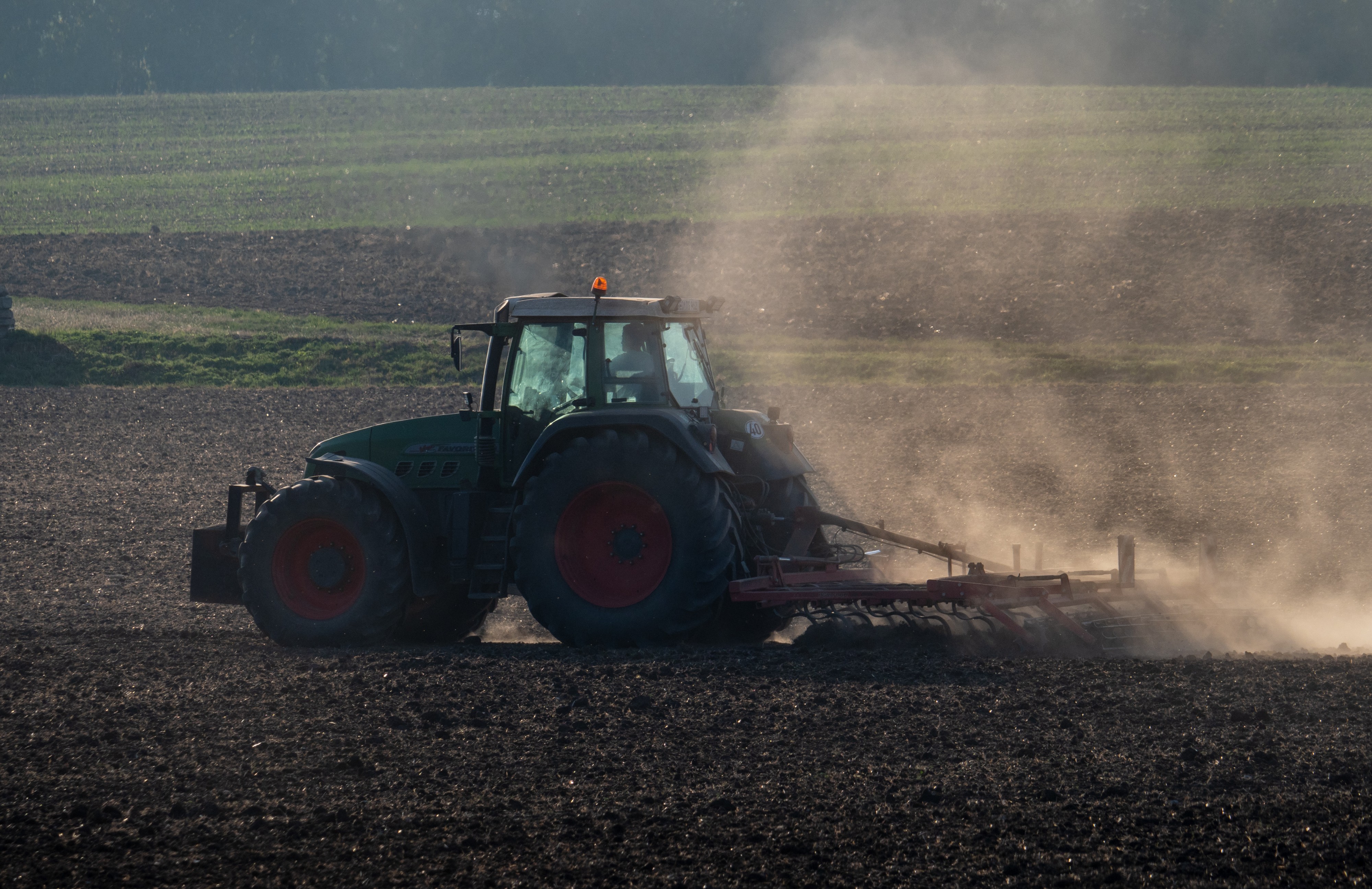 Fendt Favorit 924 mit Egge 080206