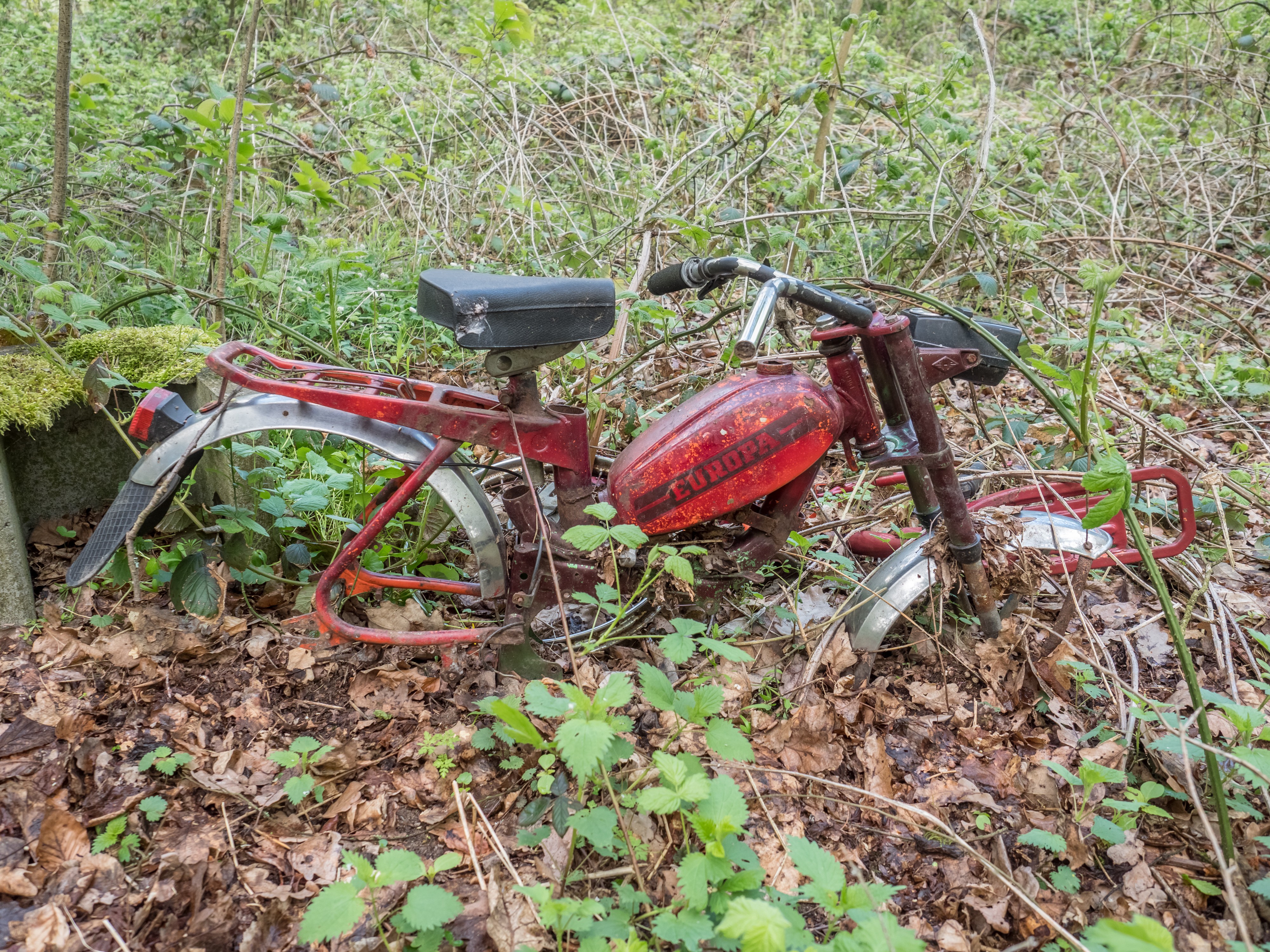 Mopedwrack Bruderwald P4RM1574
