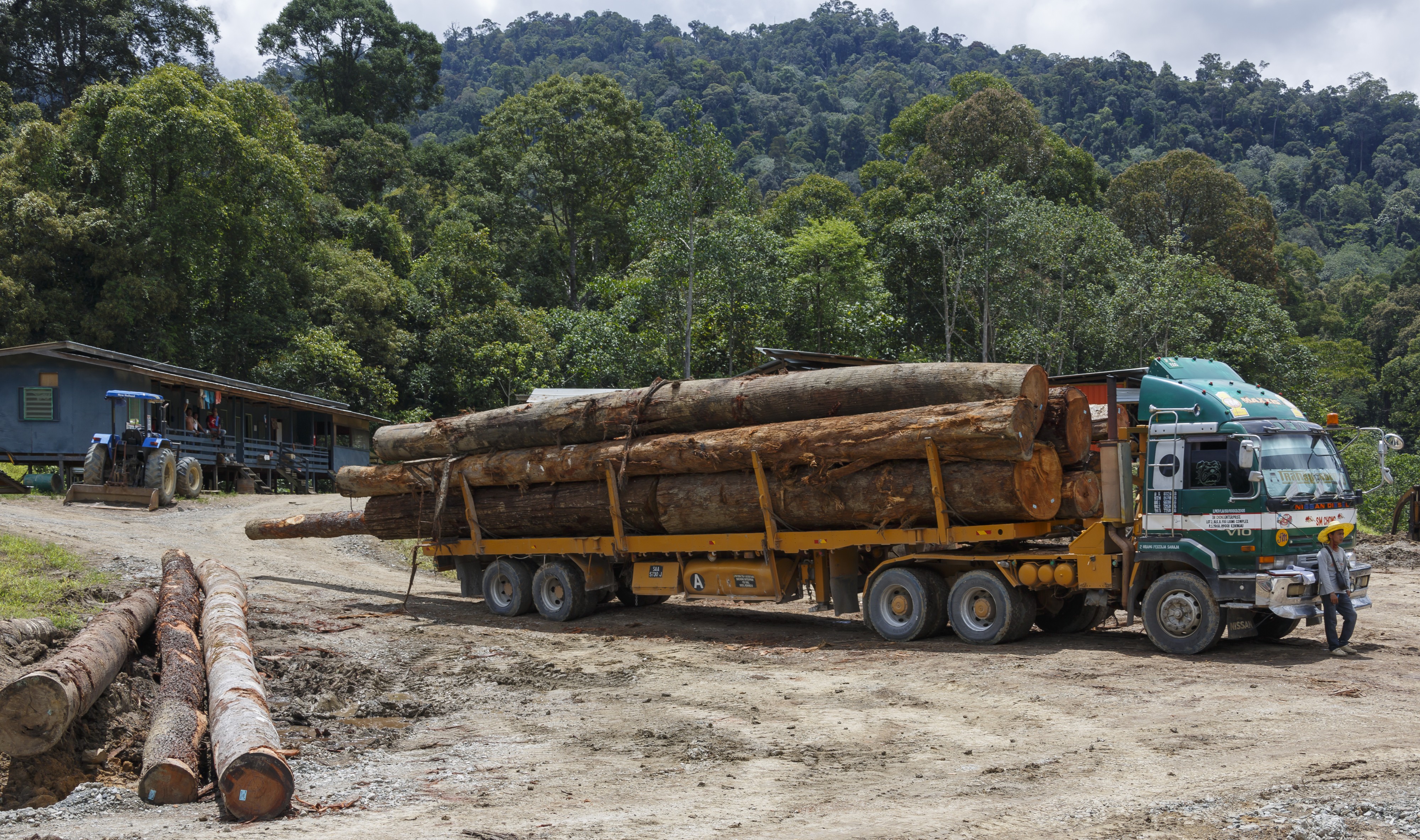 Tawau-District Sabah Logging-Camp-08