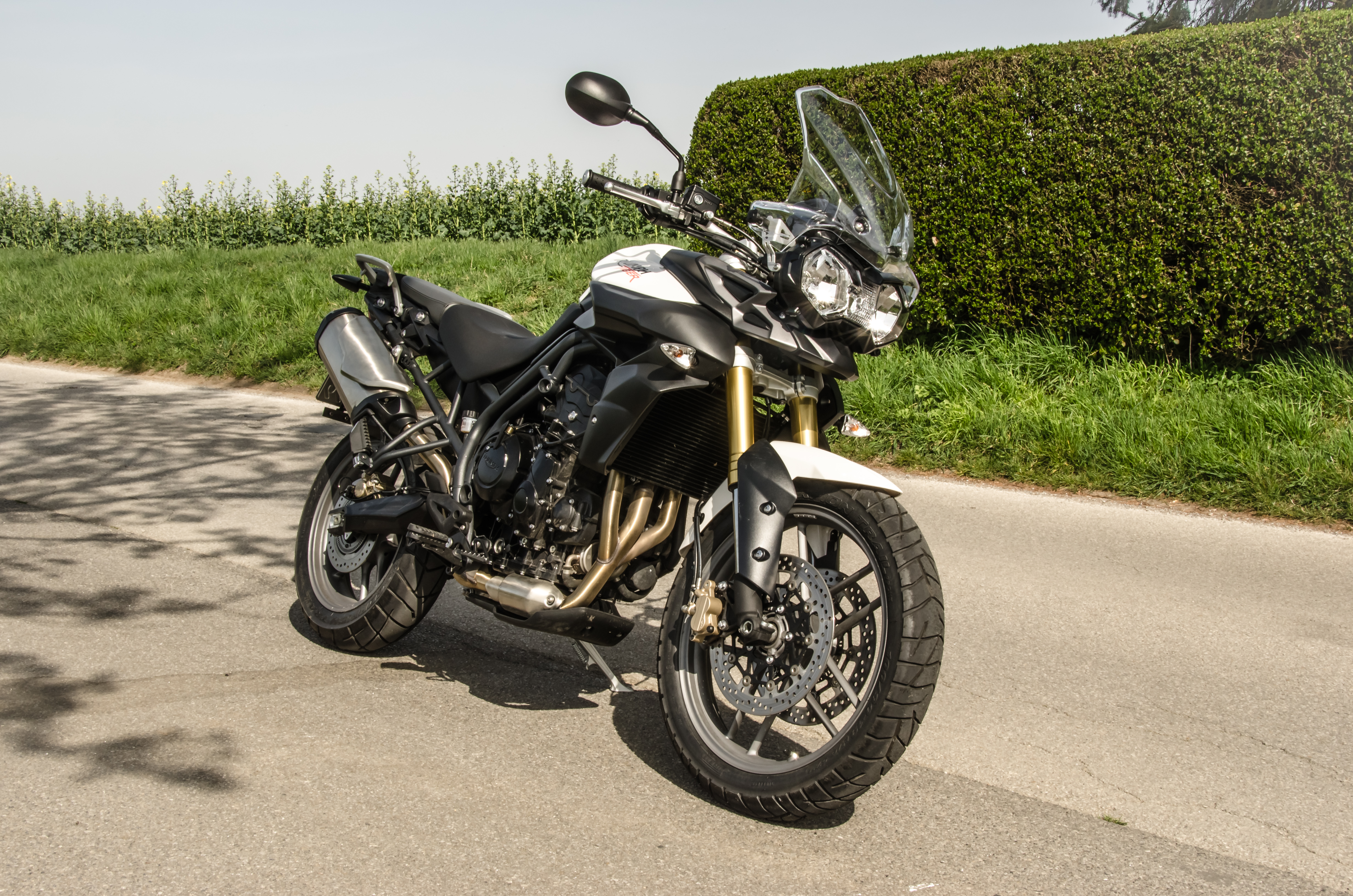 Triumph Tiger 800 MY 2012