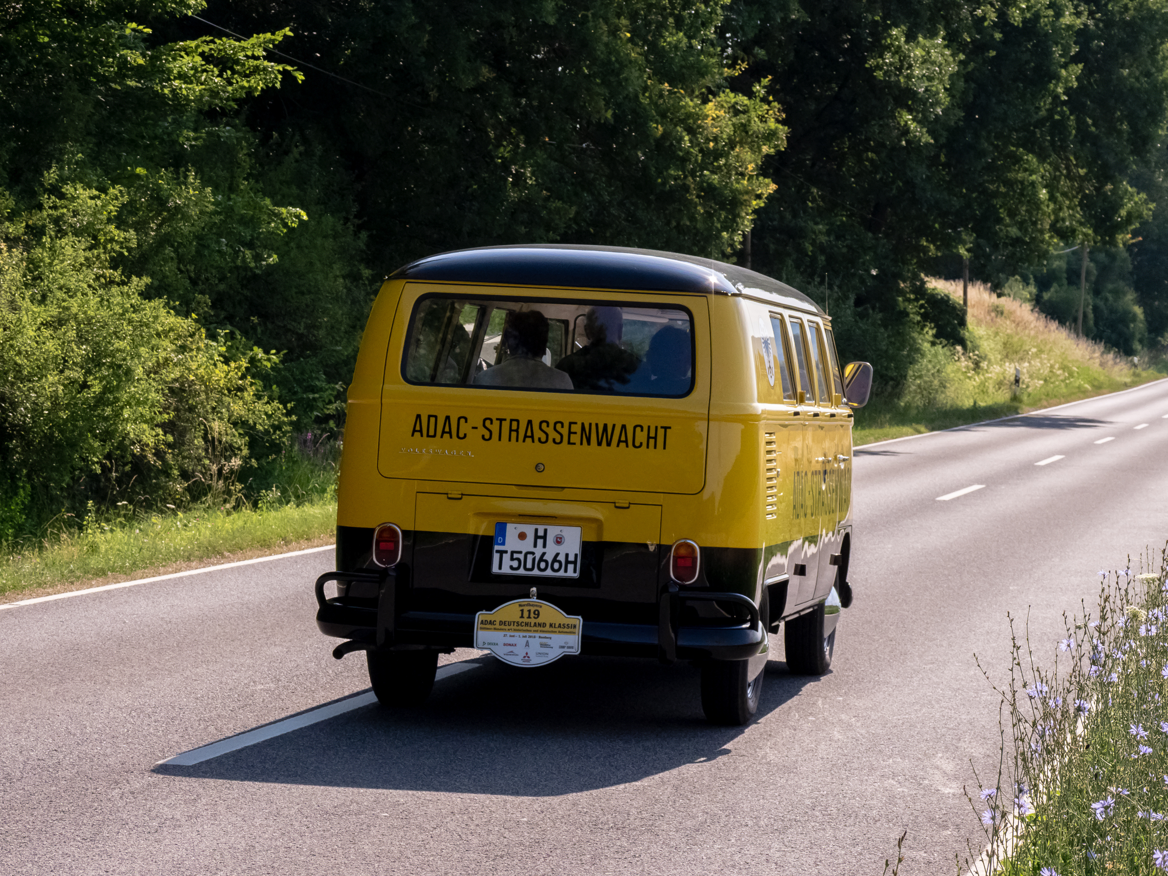 VW Bus T1- 6280032