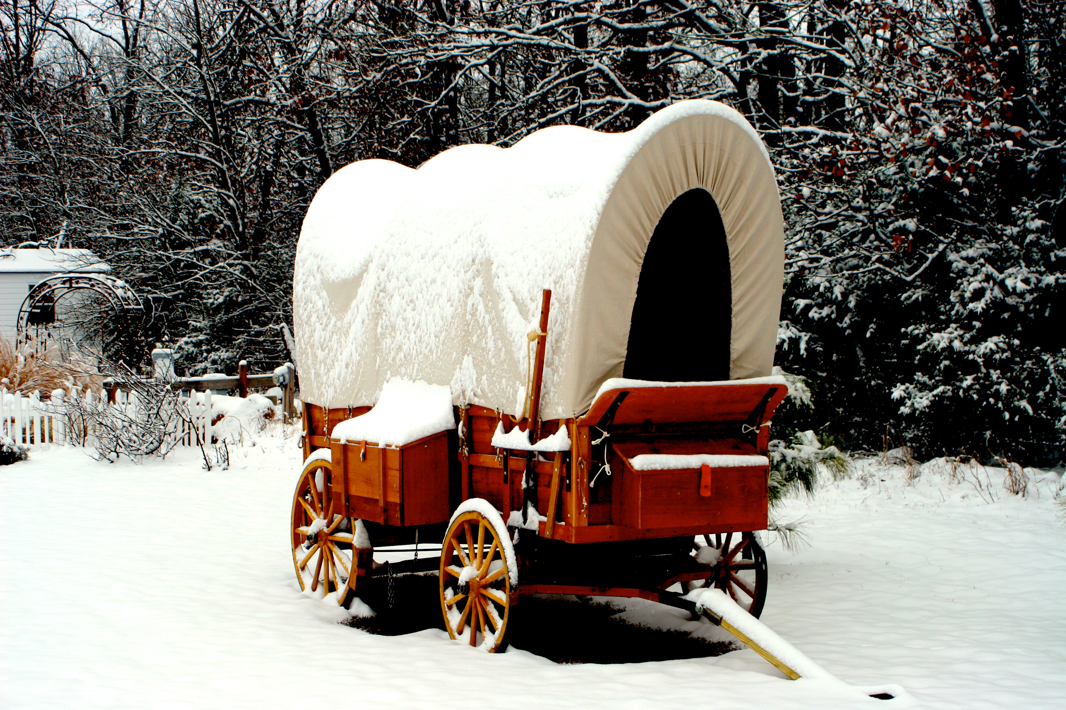 Wagon Image
