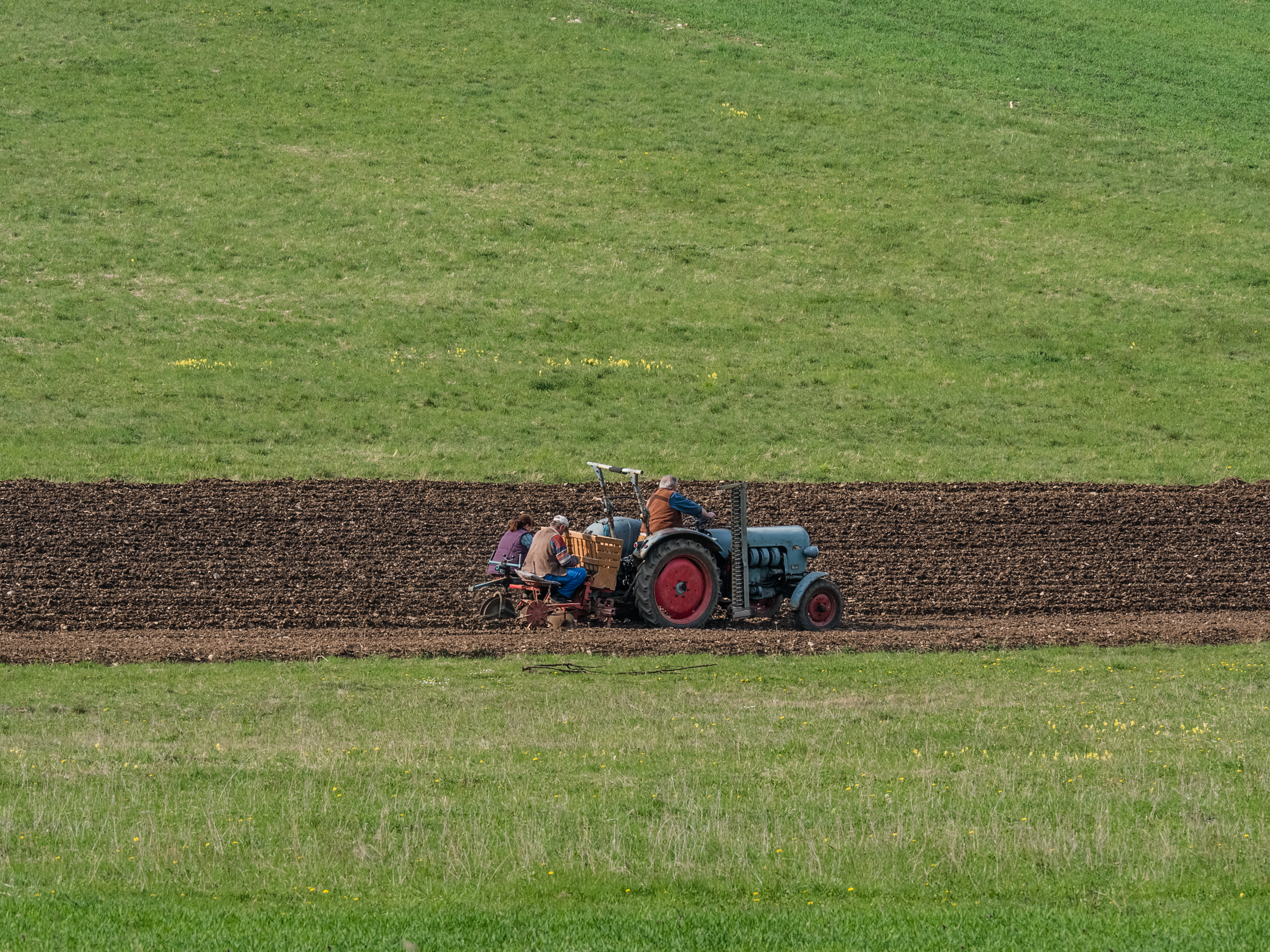 Walberla-Eicher-Traktor-4234890