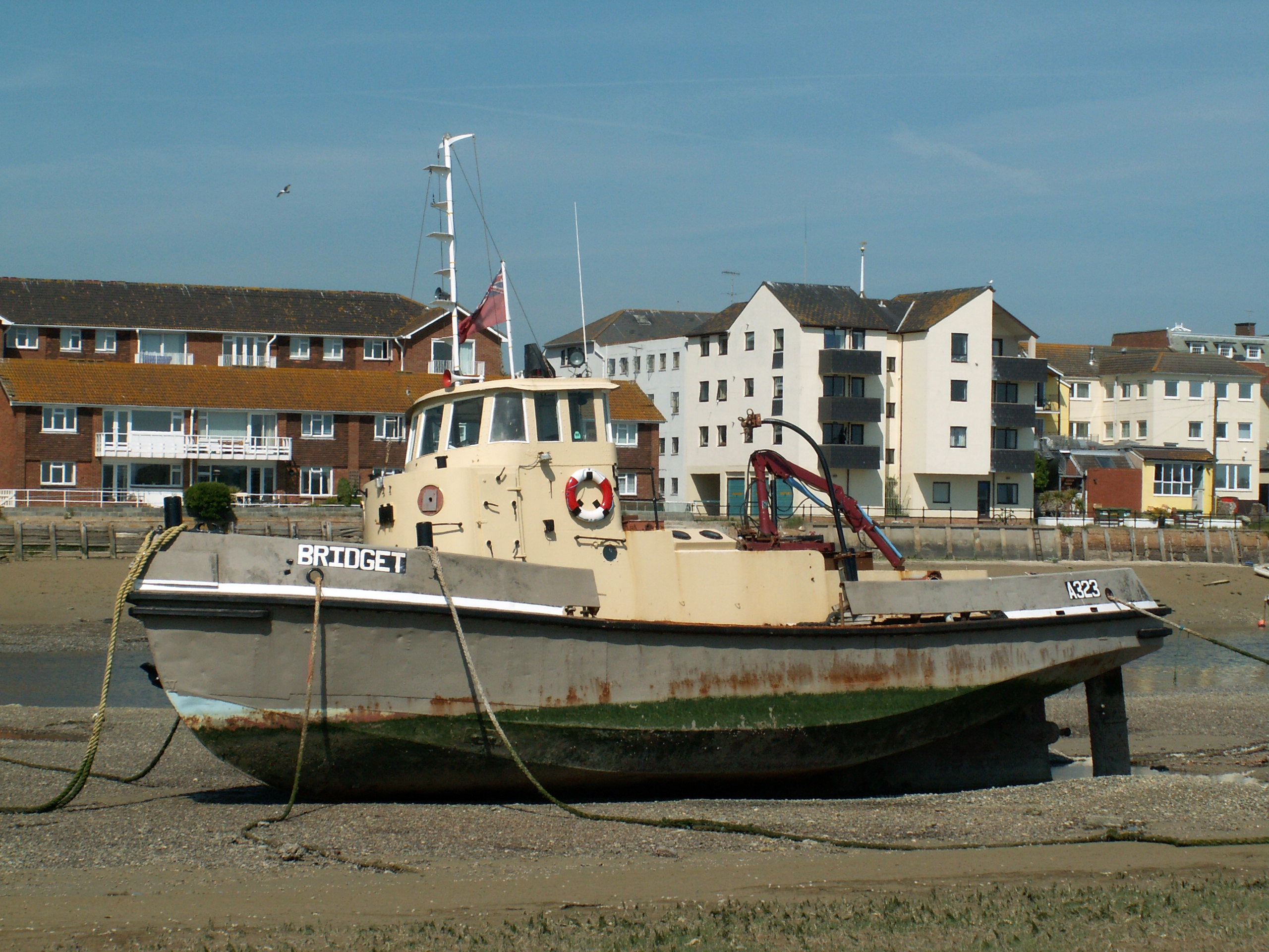 A323 Bridget