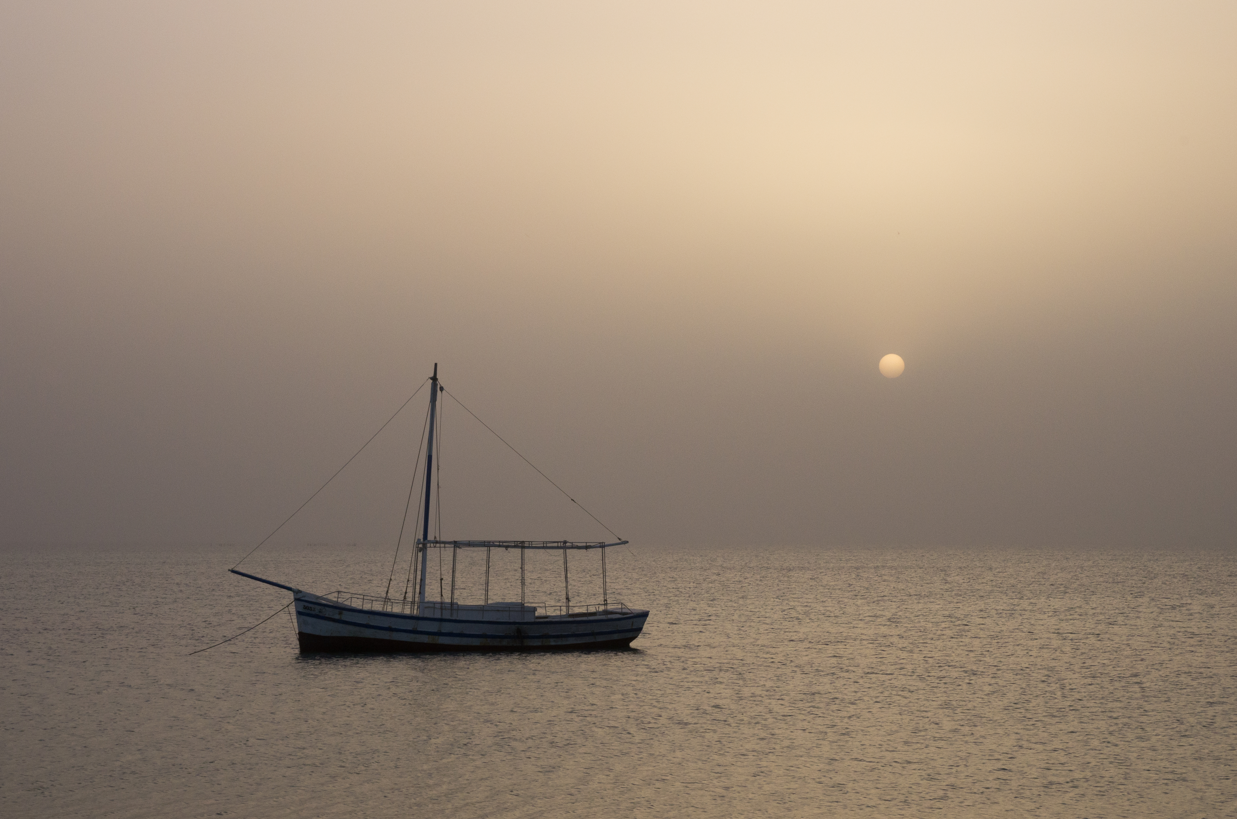 Îles Kerkennah (Site RAMSAR) 02