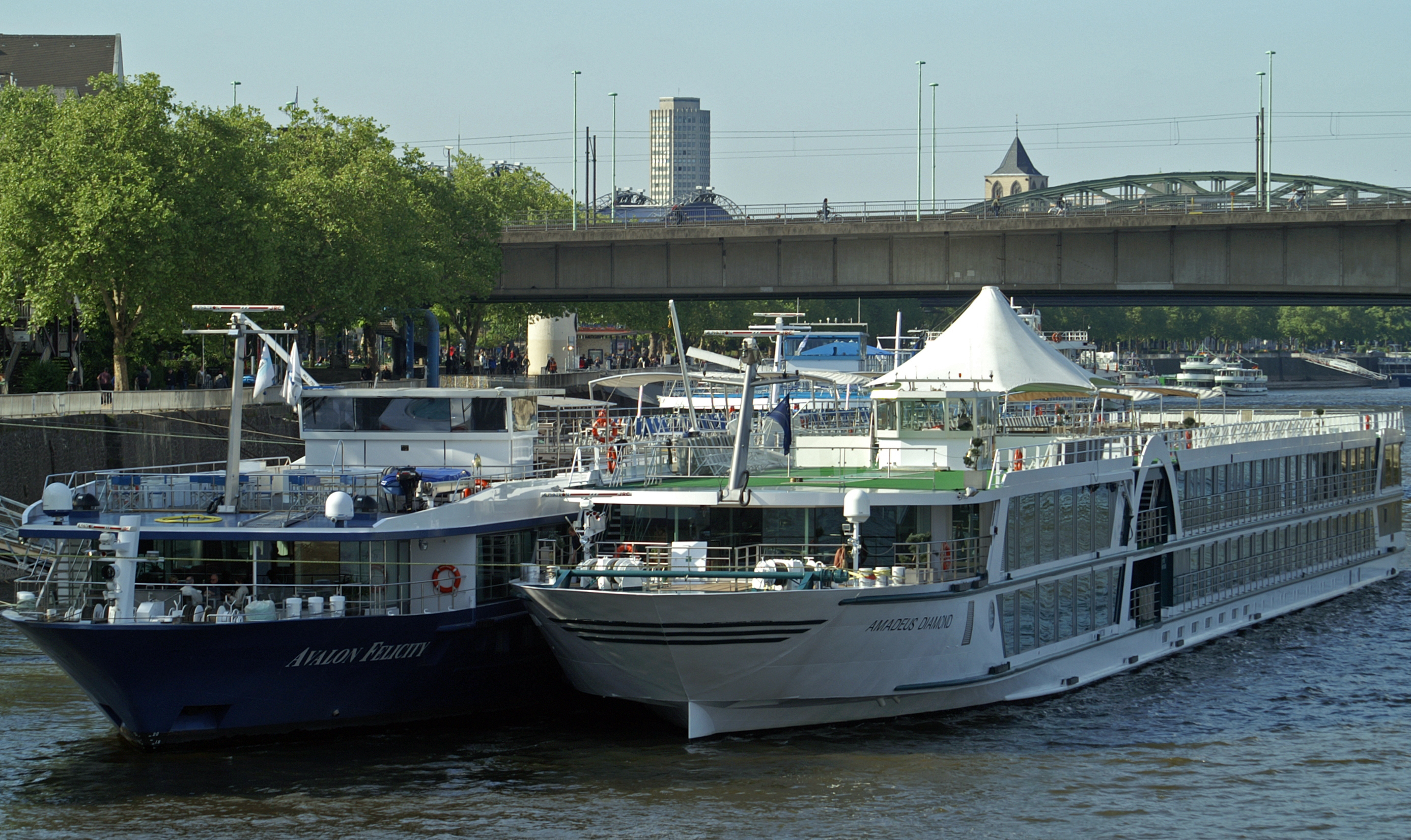 Amadeus Diamond und Avalon Felicity 02