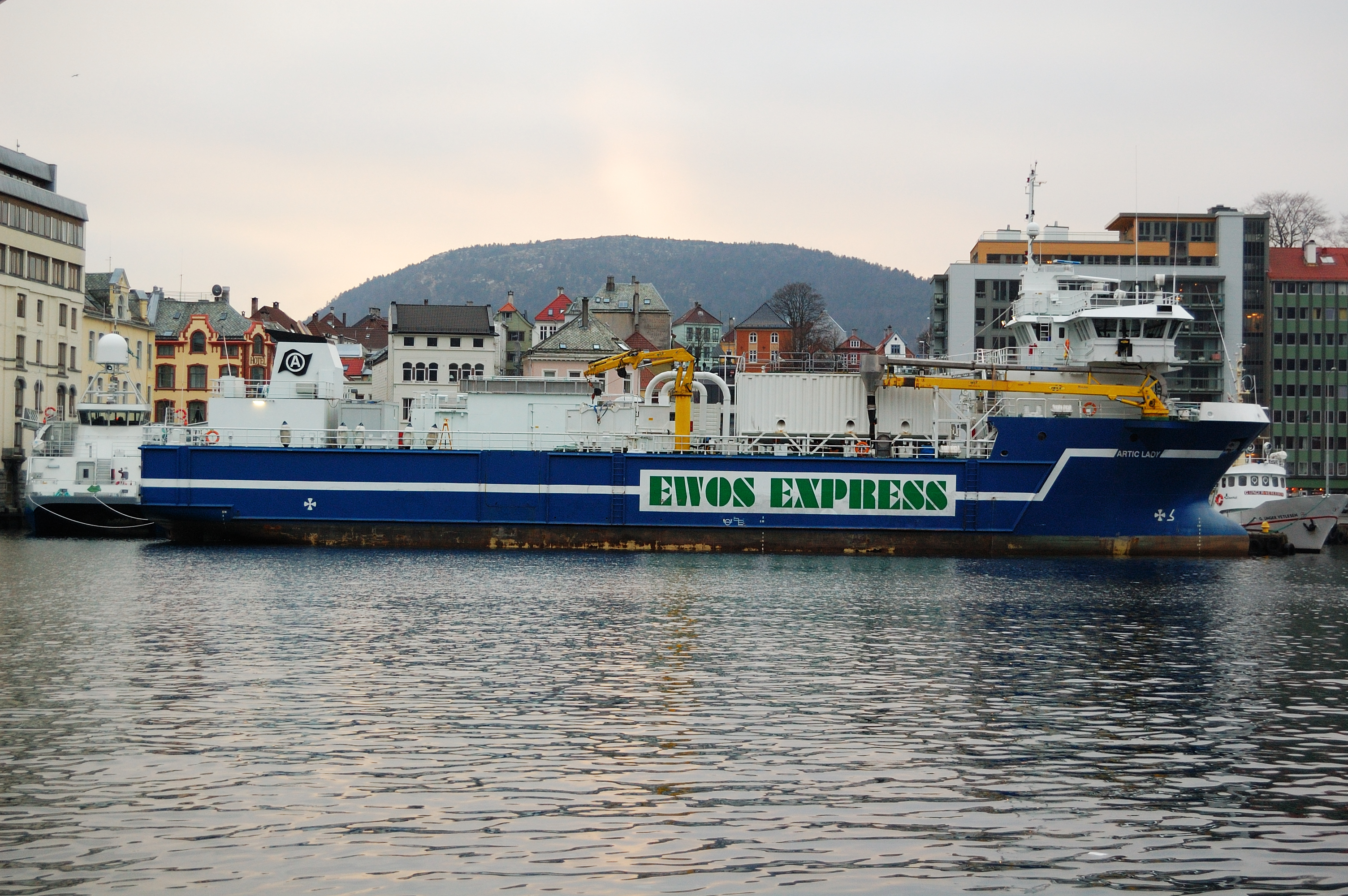 Artic Lady Bergen Norway 2009 1
