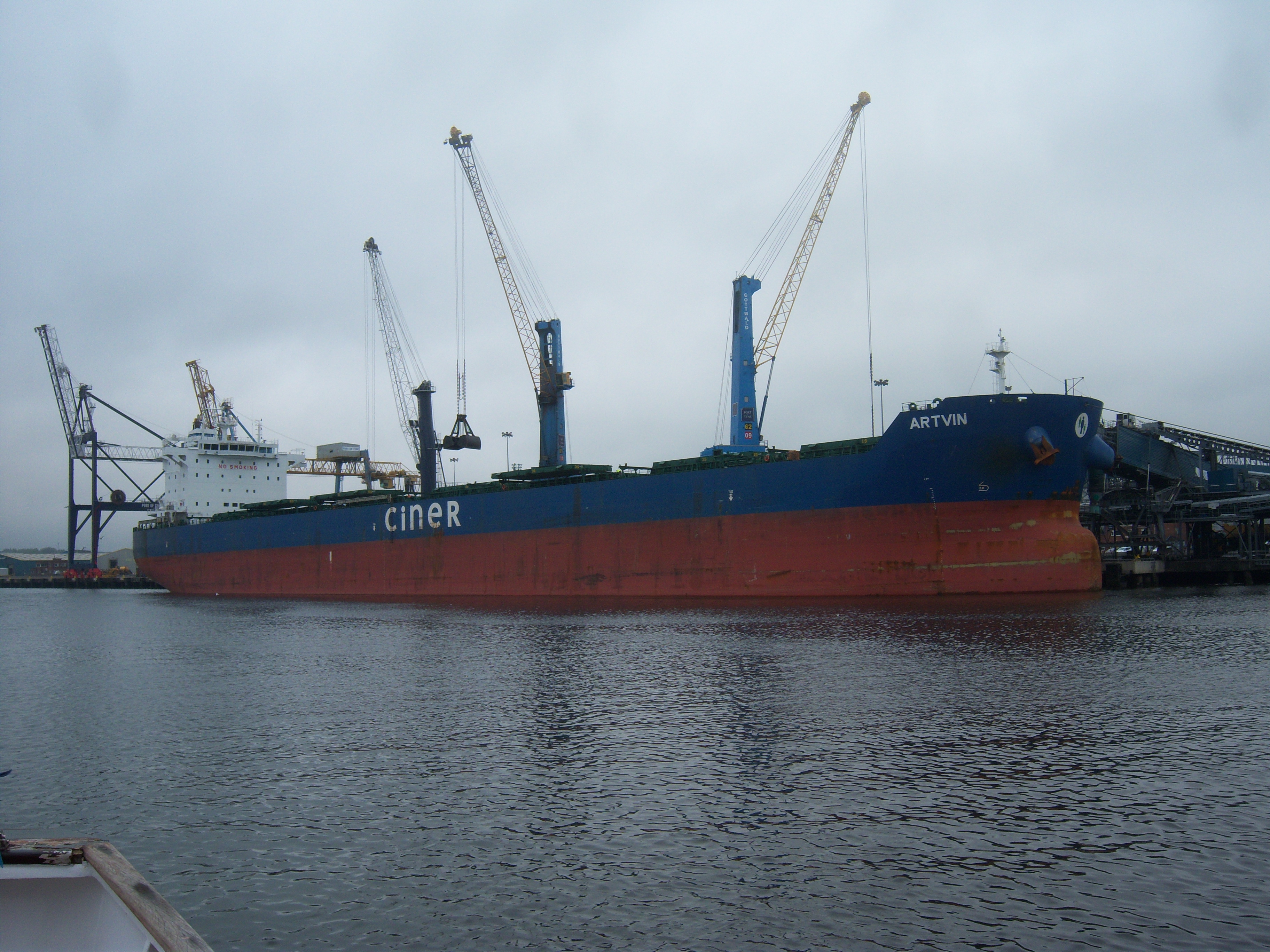 Artvin, River Tyne, 17 September 2014 (1)