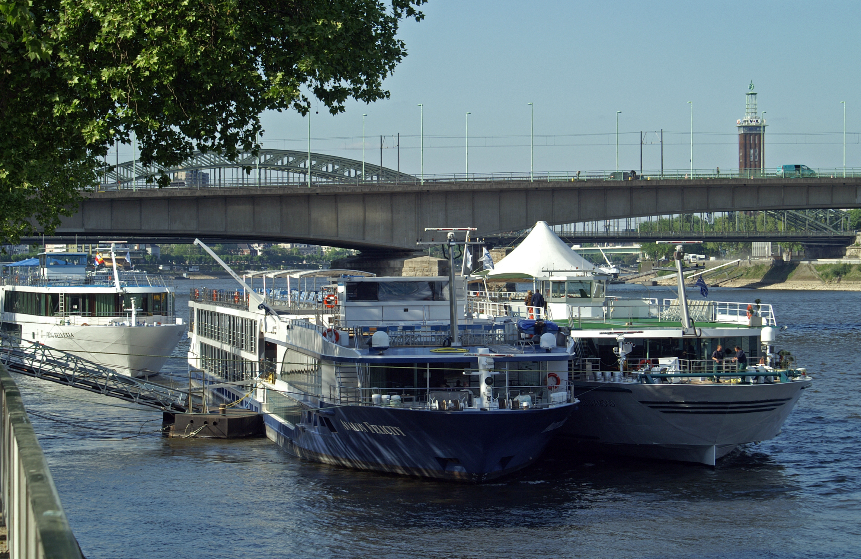 Avalon Felicity (ship, 2010) 015