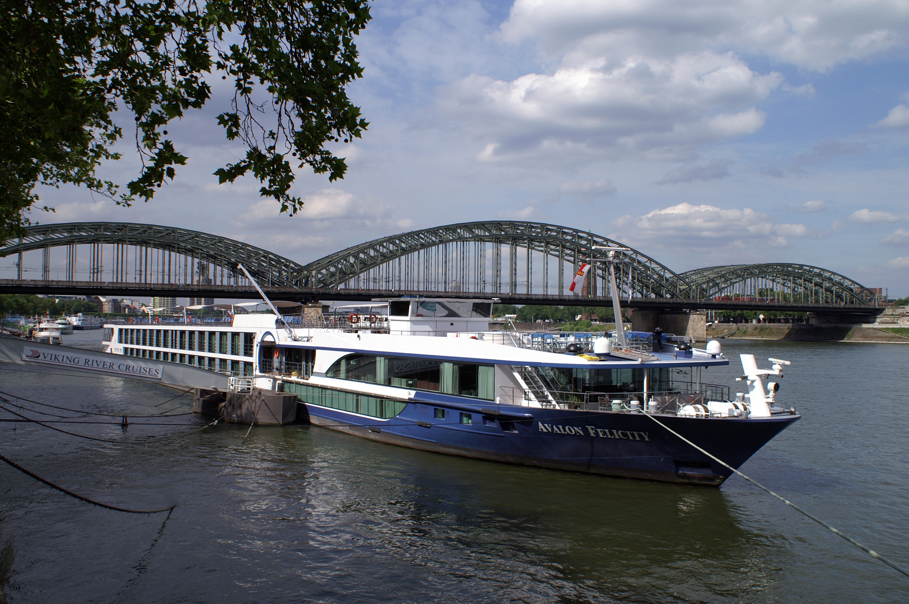Avalon Felicity (ship, 2010) 021