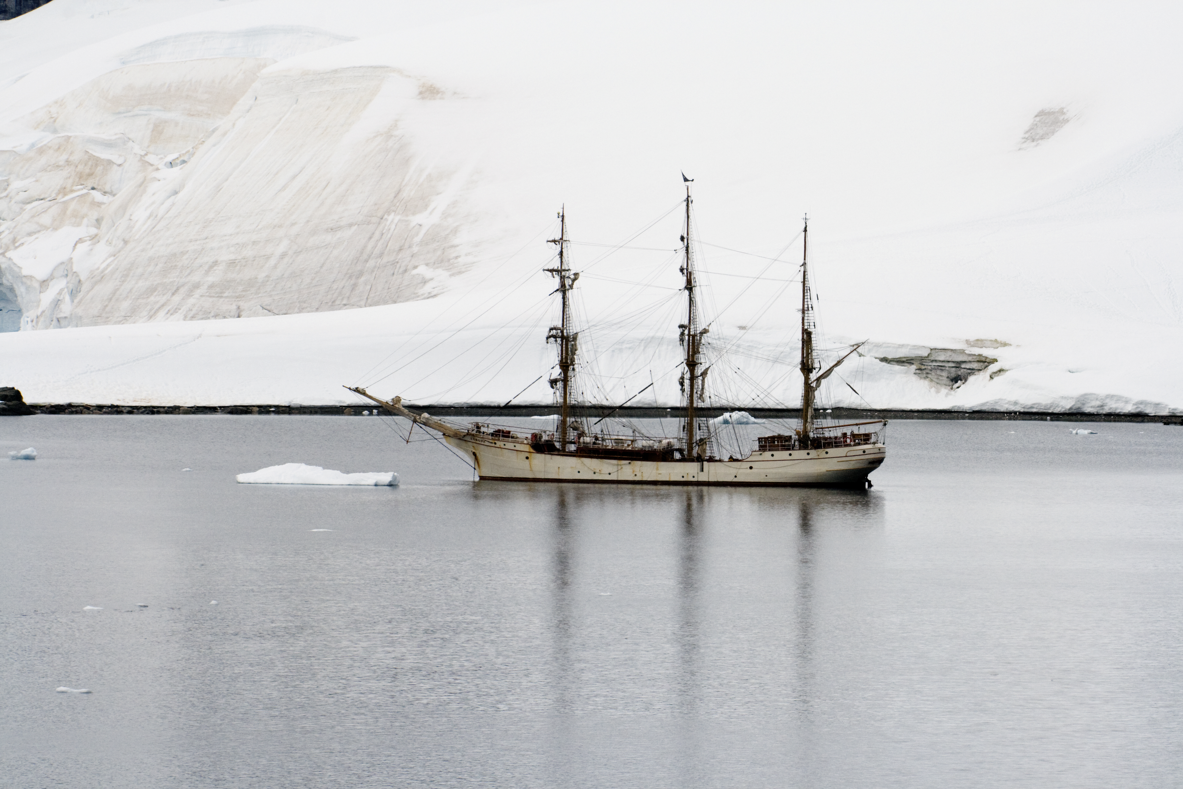 Barqueeuropainantarcticwaters