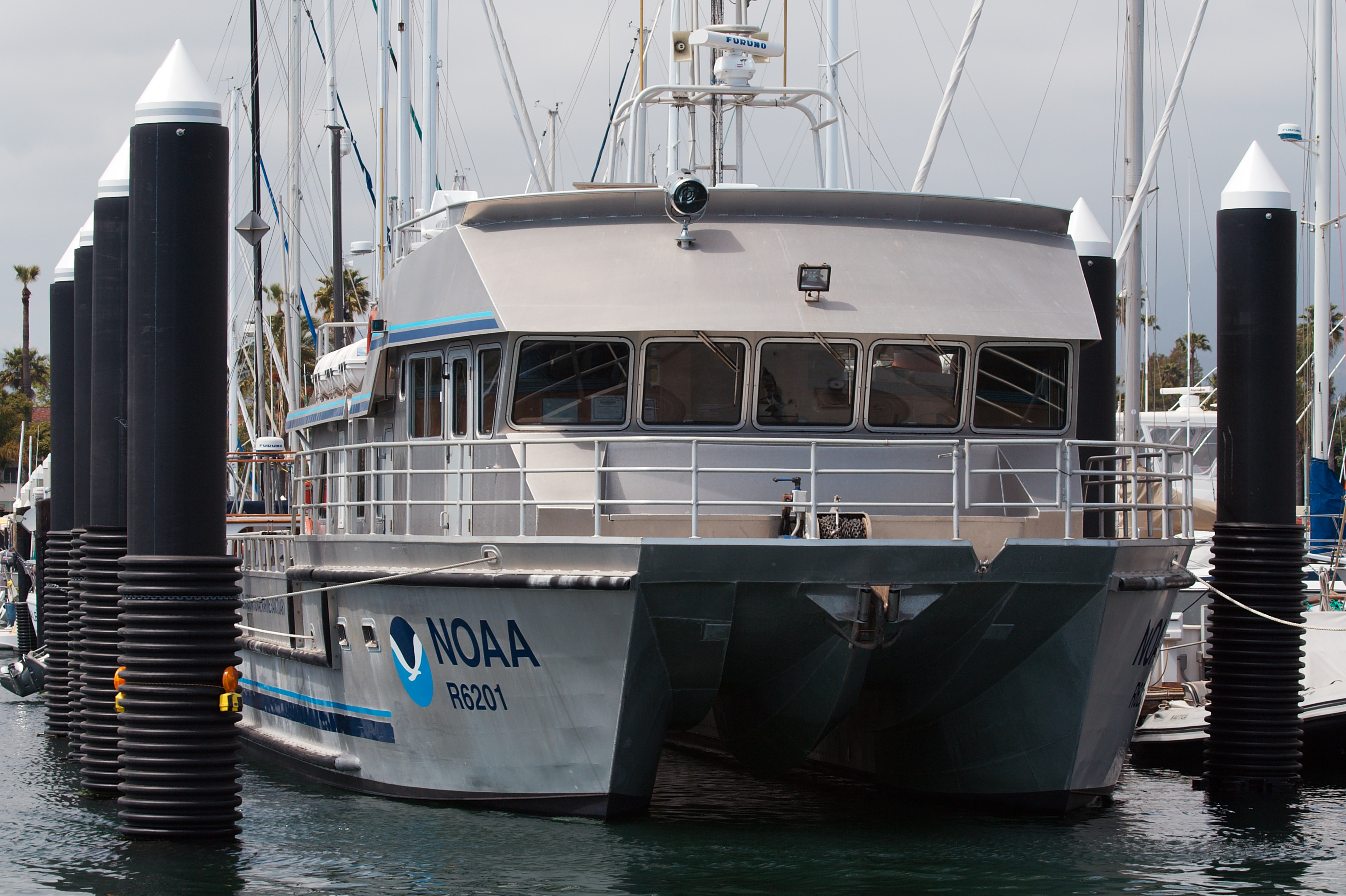 Catamaran 4987