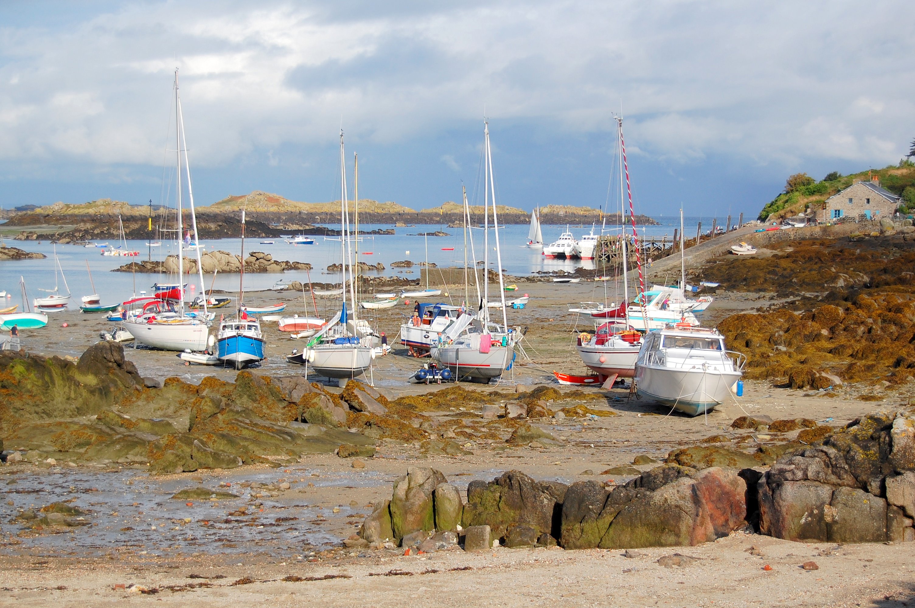 Chausey flotille de voiliers a maree bassemaree basse