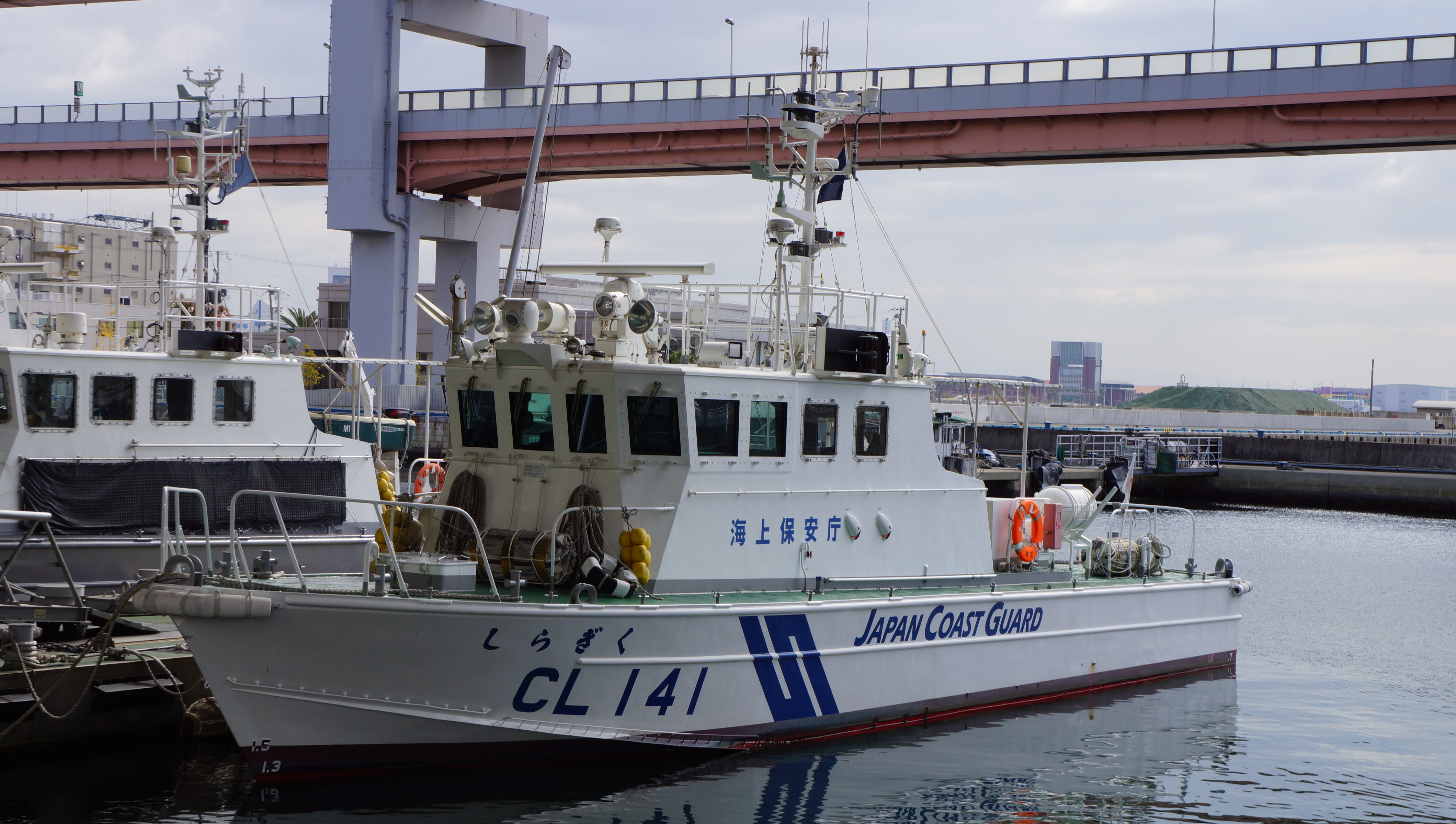 CL-141しらぎく