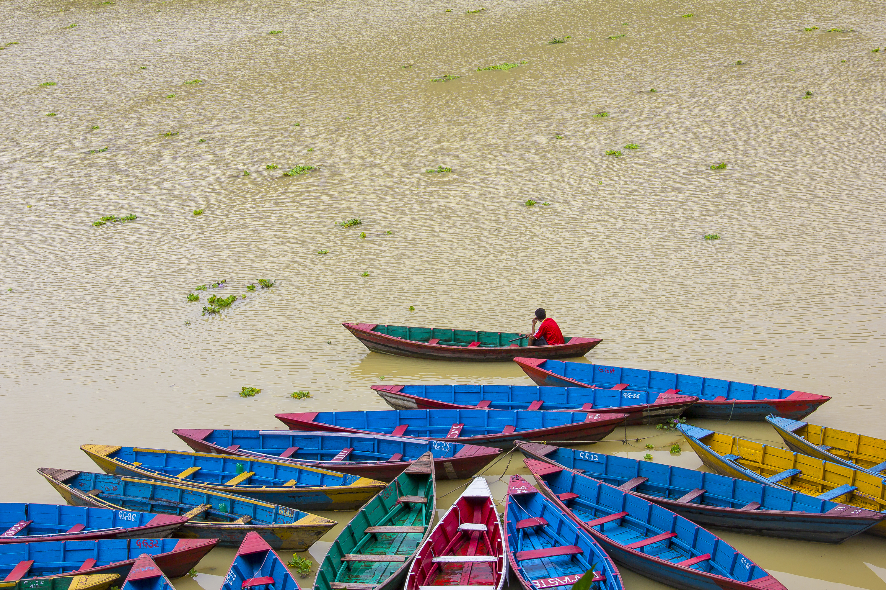 Colorful Boats waiting in the bank of Fewa Lake, Pokhara during rainy season. (By Saroj Pandey)