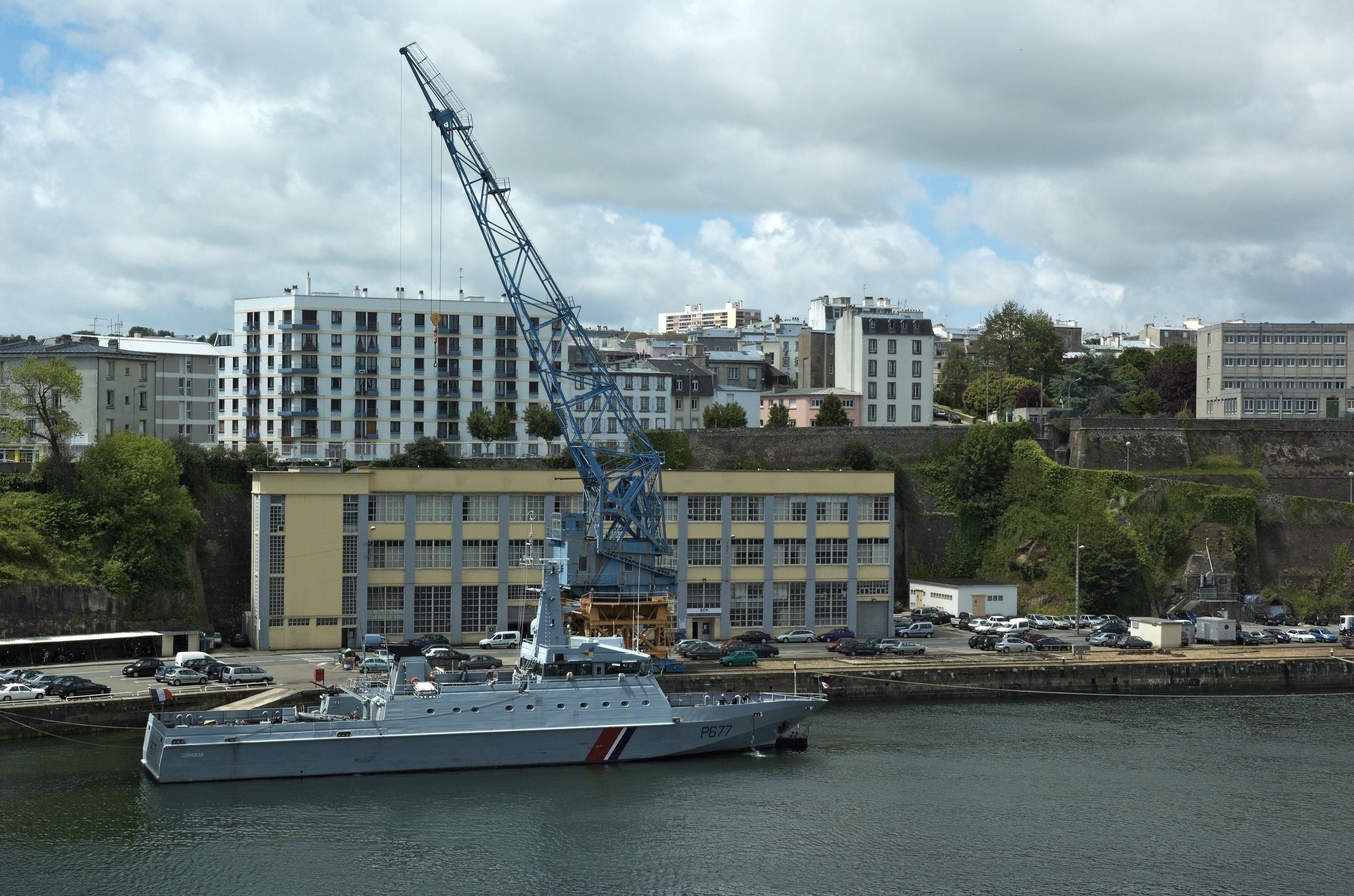 Cormoran-20060523-027