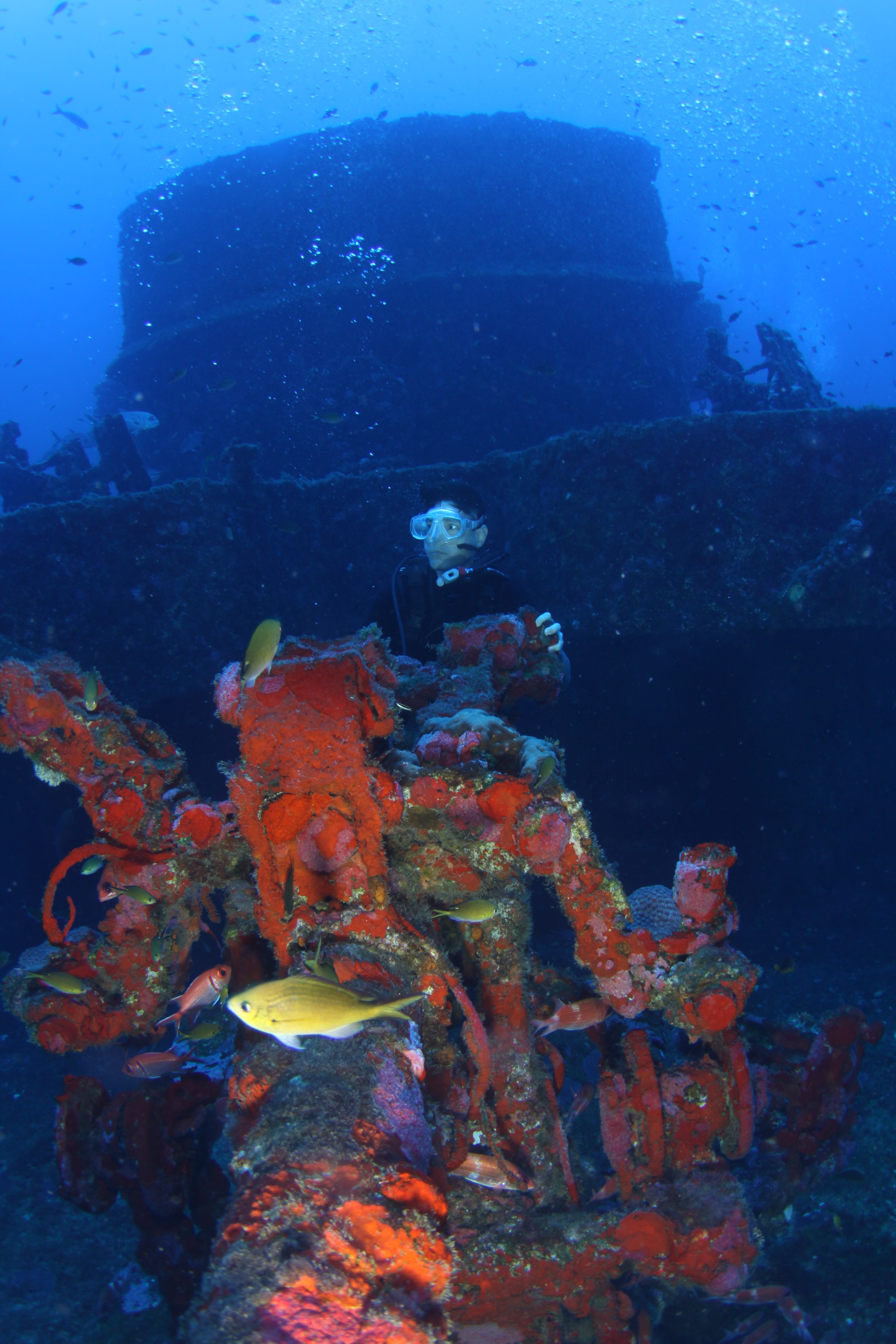 Corvette Ipiranga V17 cannon