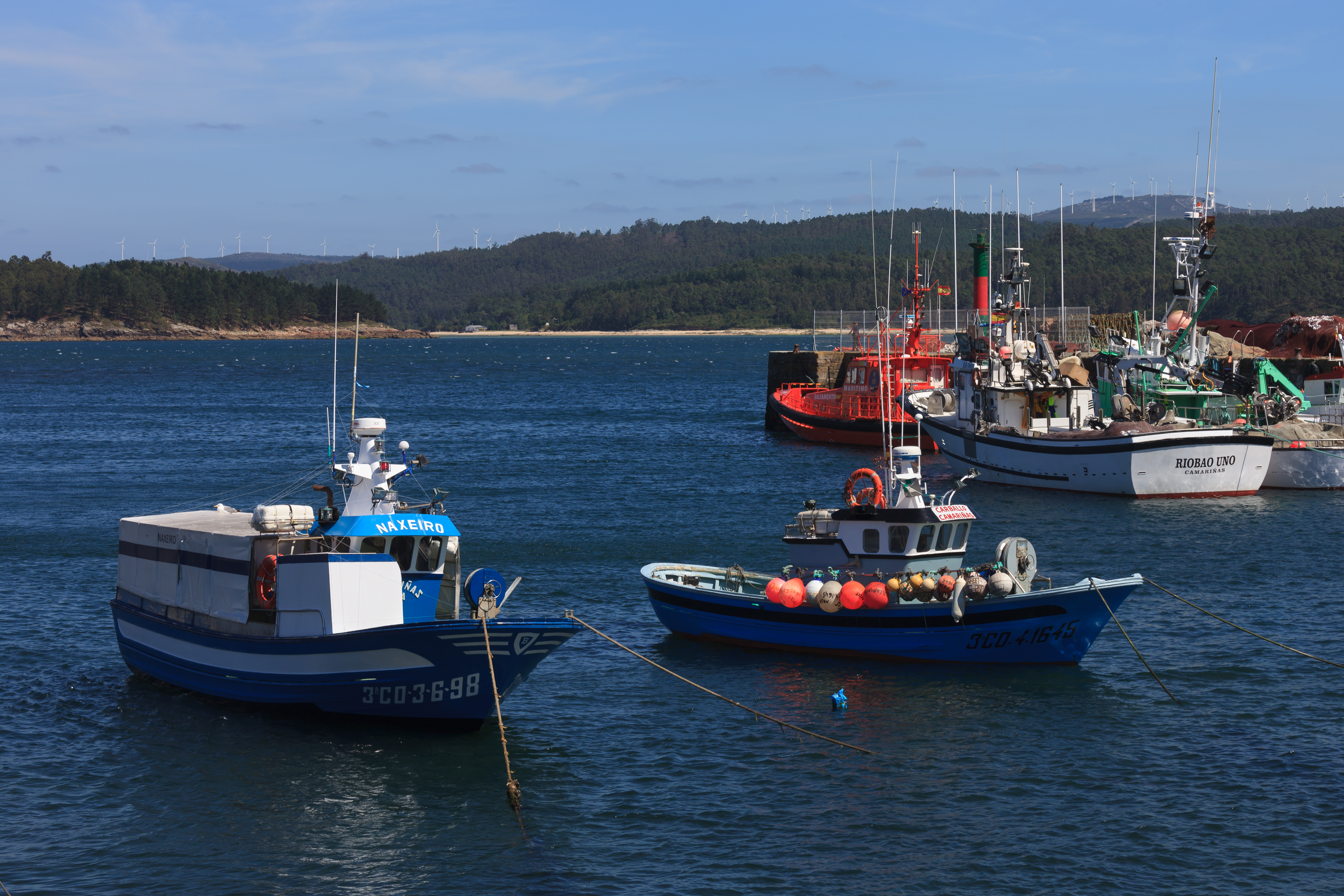 Embarcacións no porto de Camariñas 124