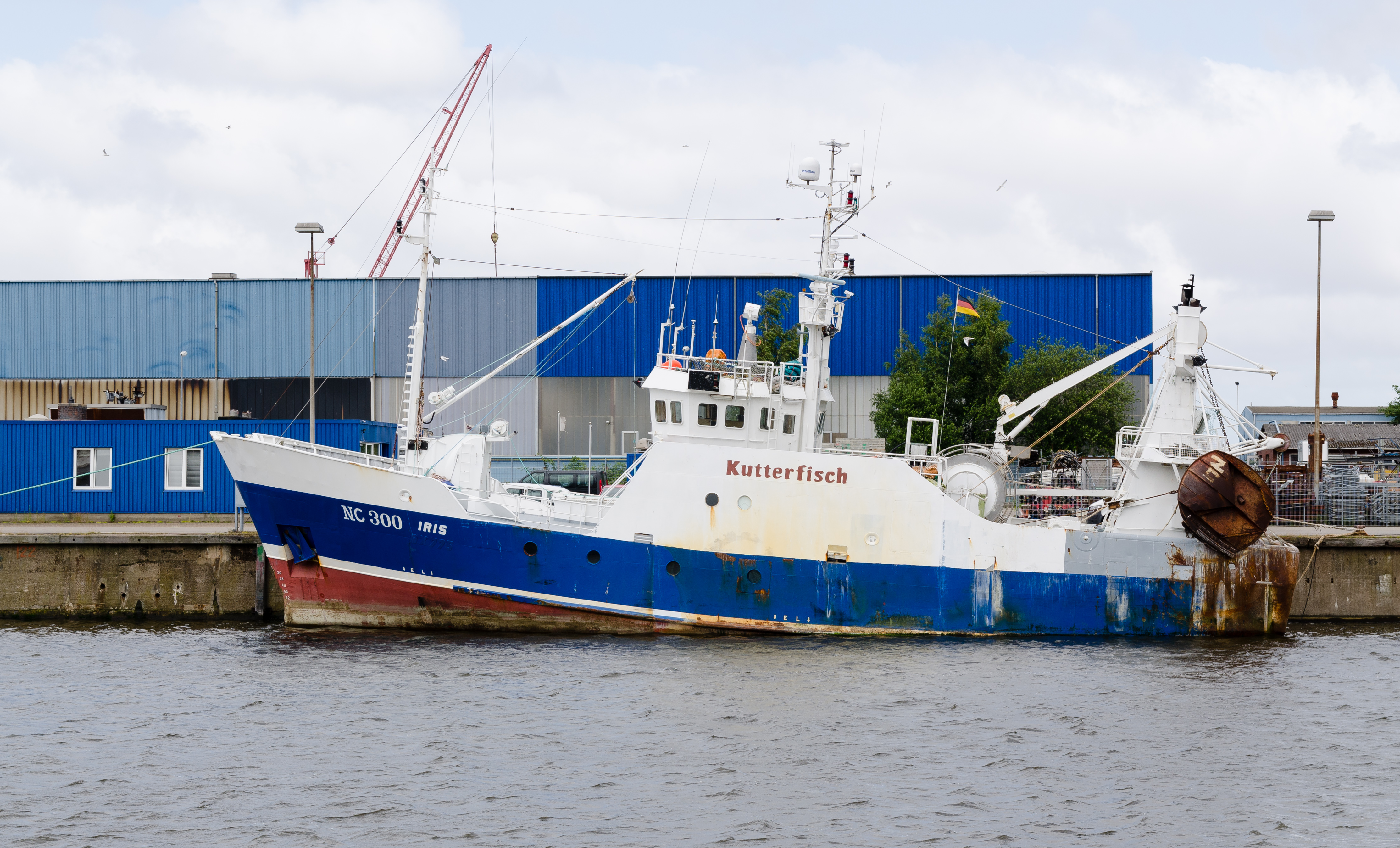 Kutterfisch Iris NC300 in Cuxhaven 2013