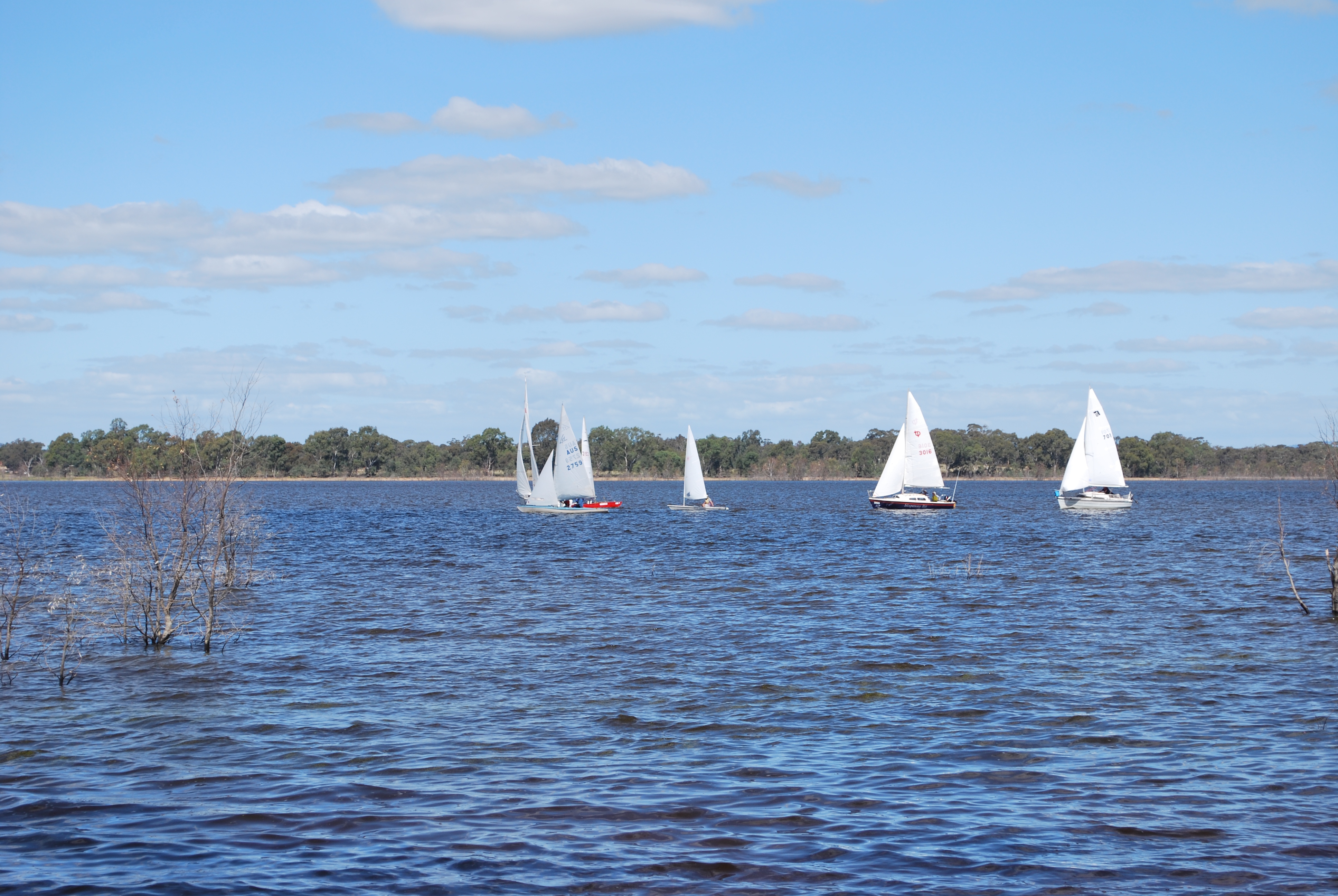 Lake Eppalock Yachts 003