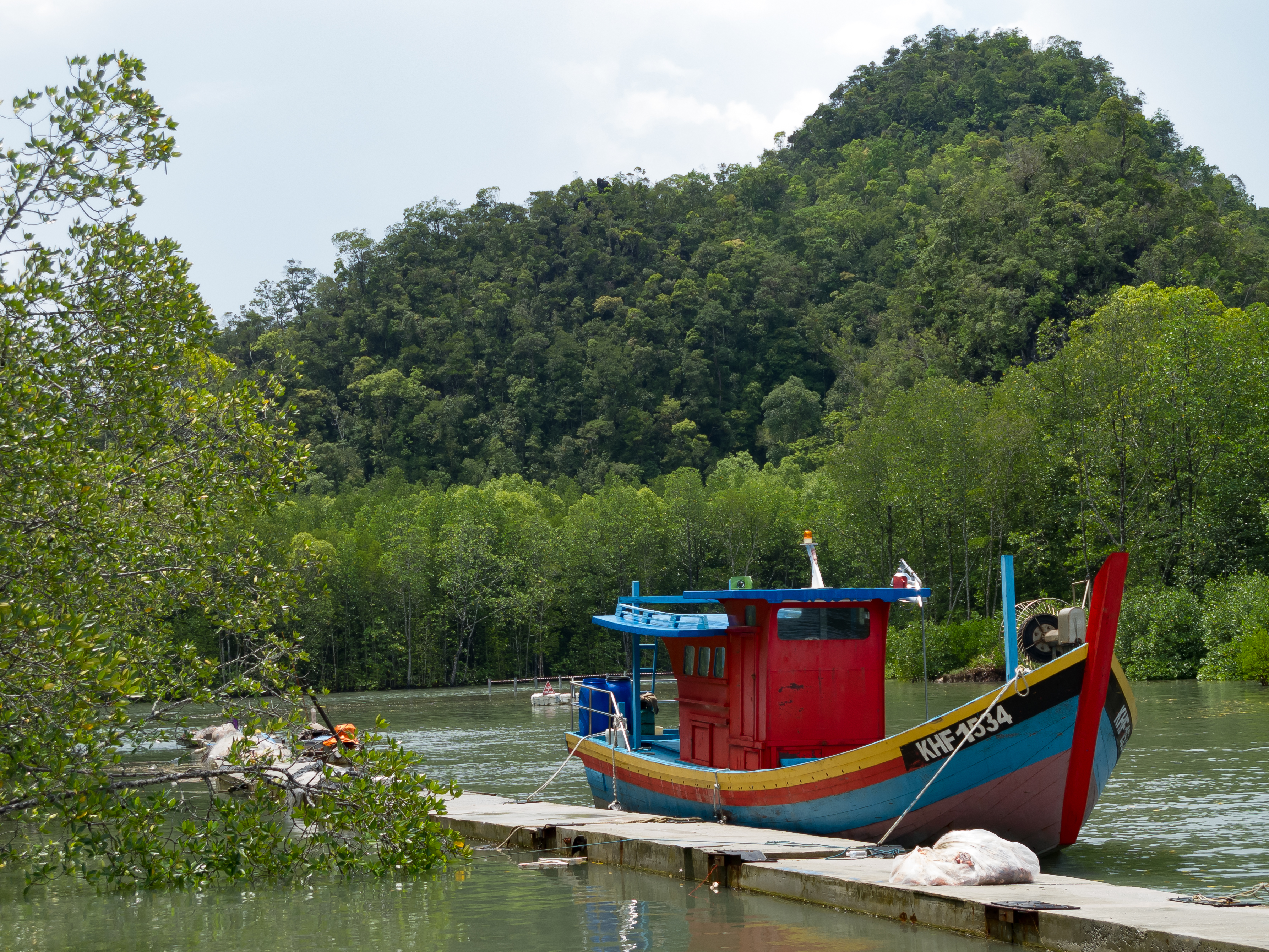 Langkawi Malaysia mangrove-Tour-Jetty-01