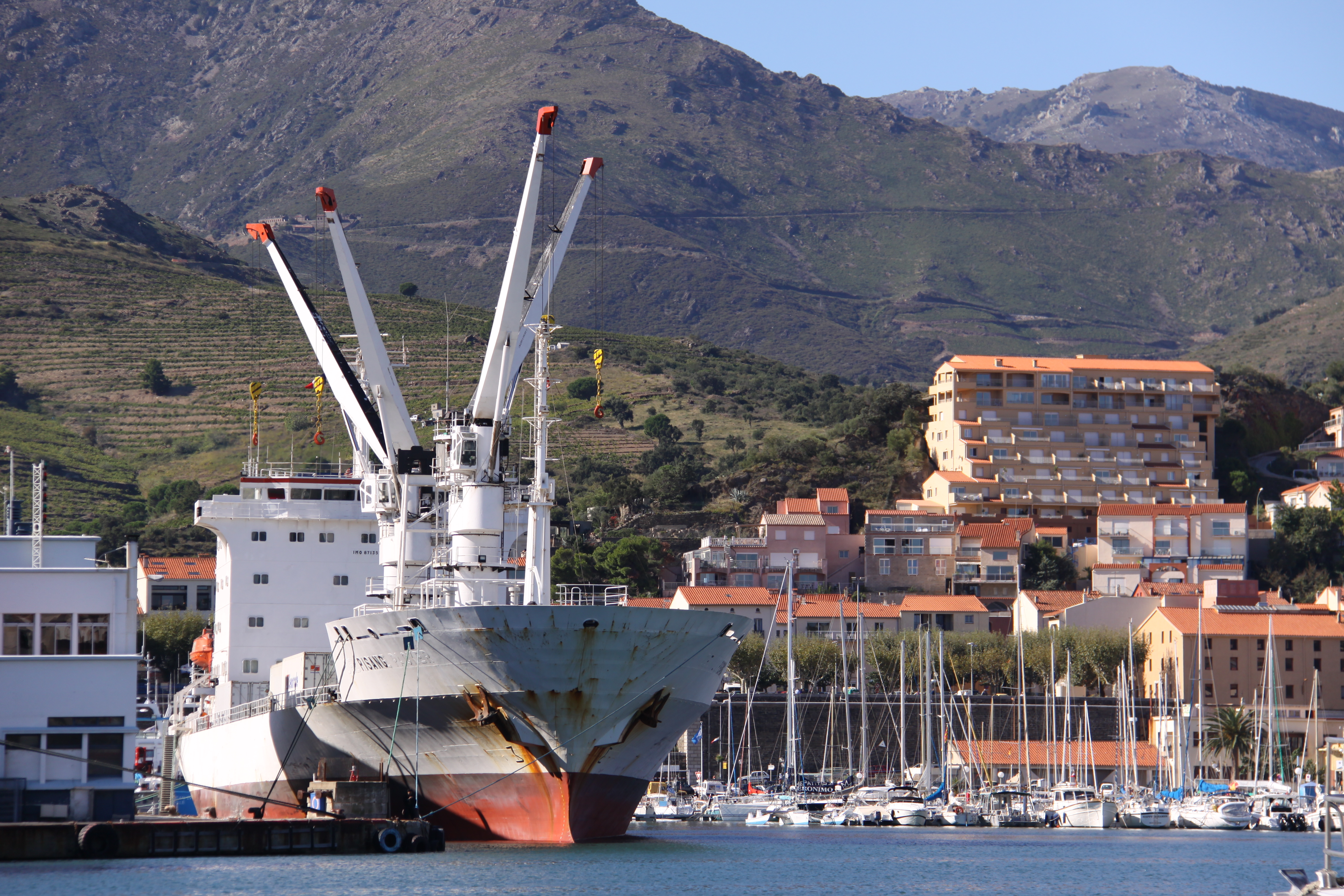 Le cargo Pisang (3)