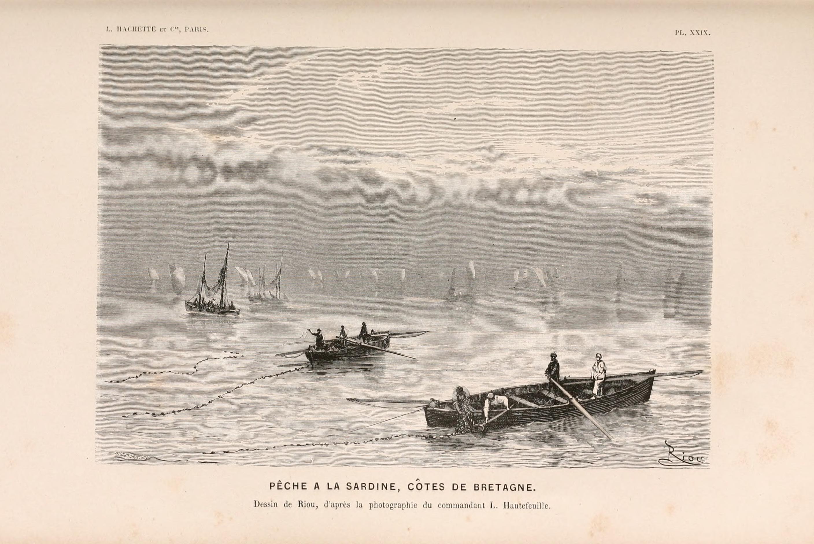 Le monde de la mer (Pl. XXIX) (8202745285)