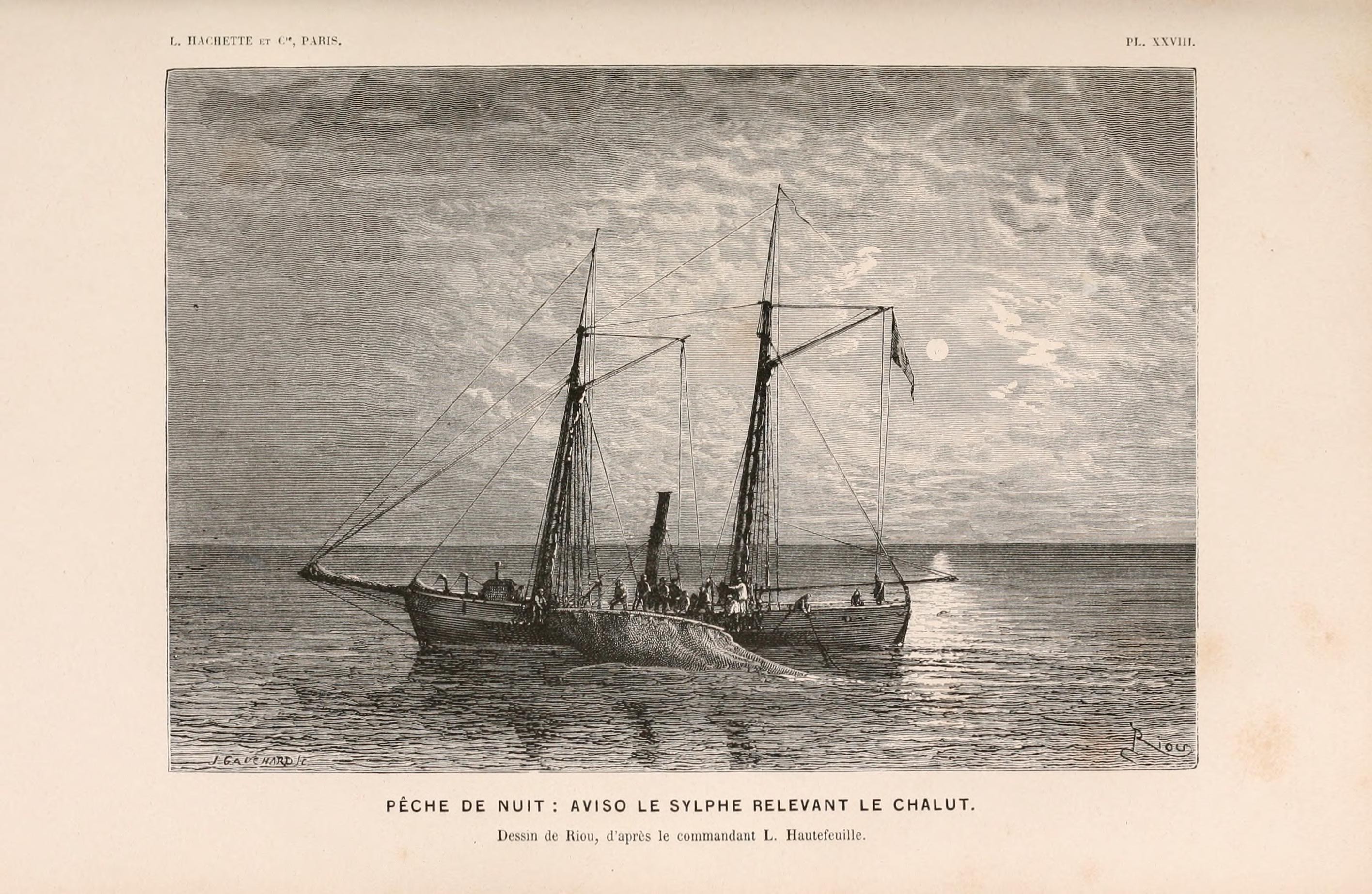 Le monde de la mer (Pl. XXVIII) (8202744717)