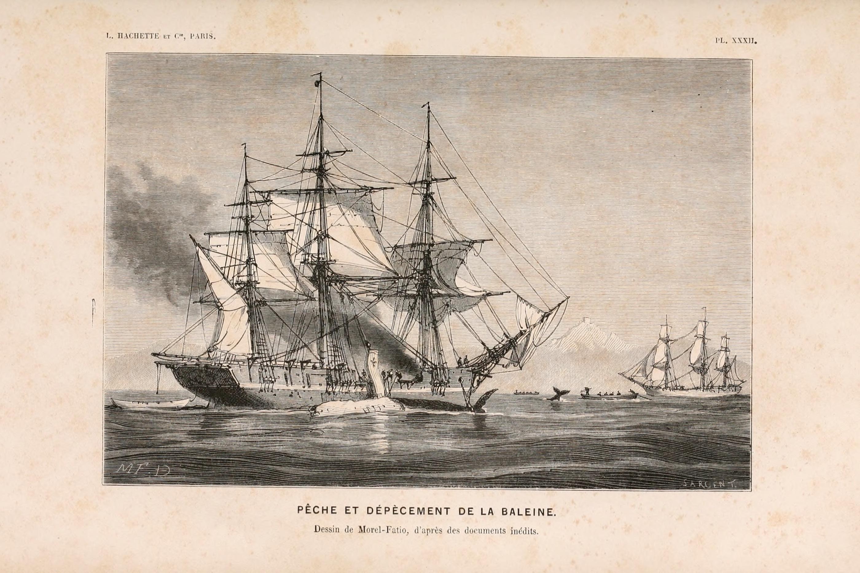 Le monde de la mer (Pl. XXXII) (8203837050)