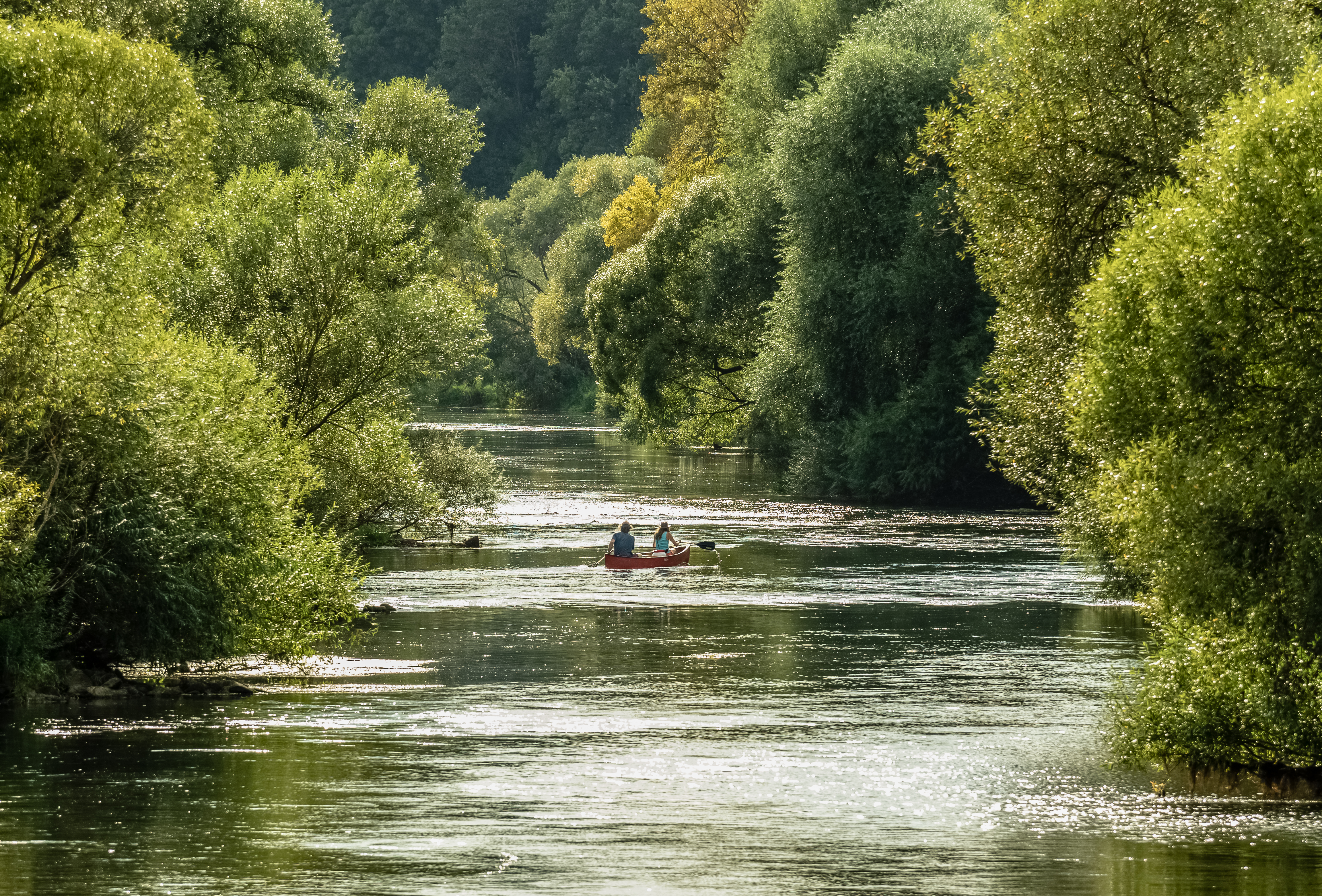 Main bei Ebensfeld-P8297785