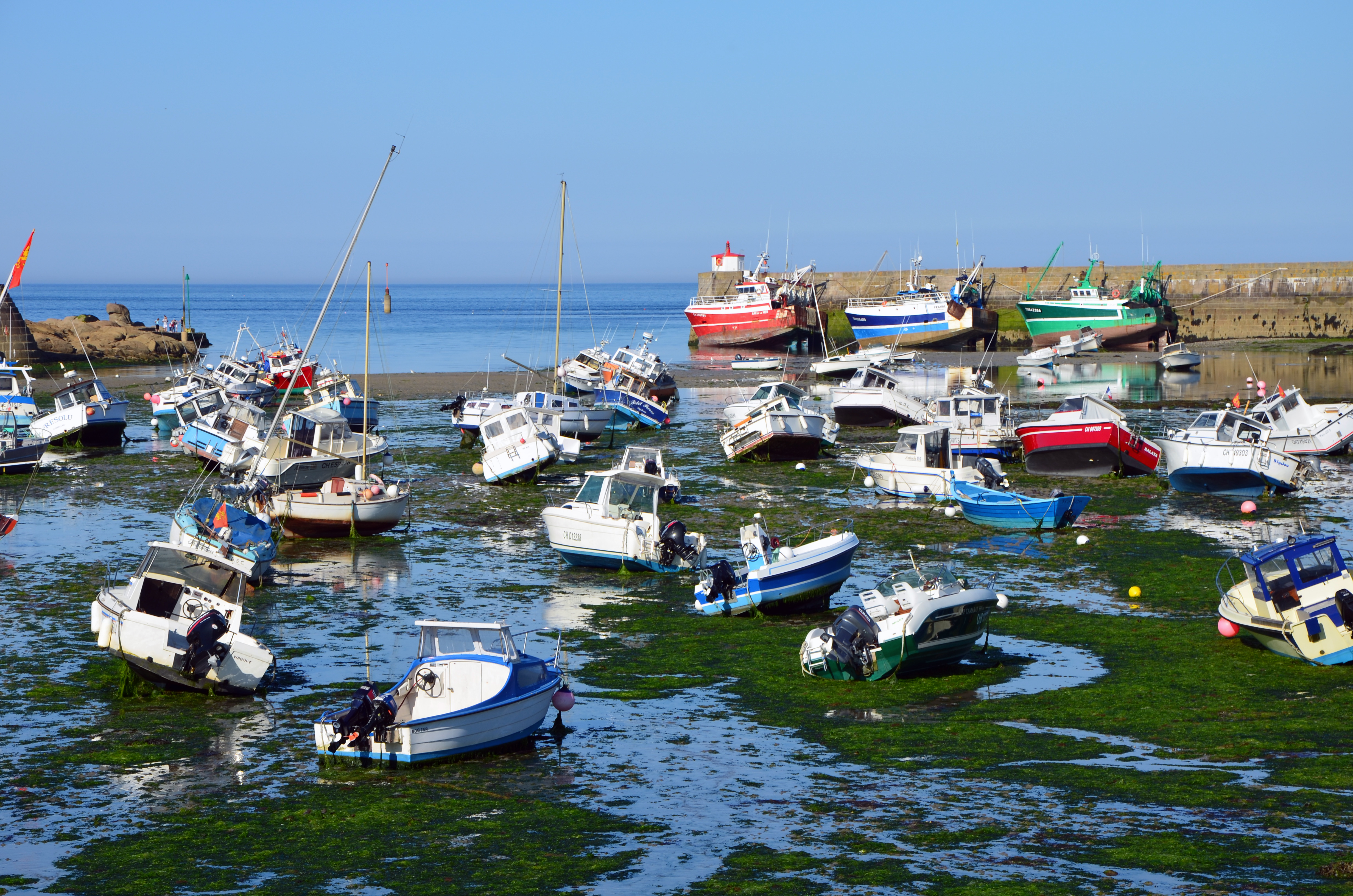 Marée basse Barfleur