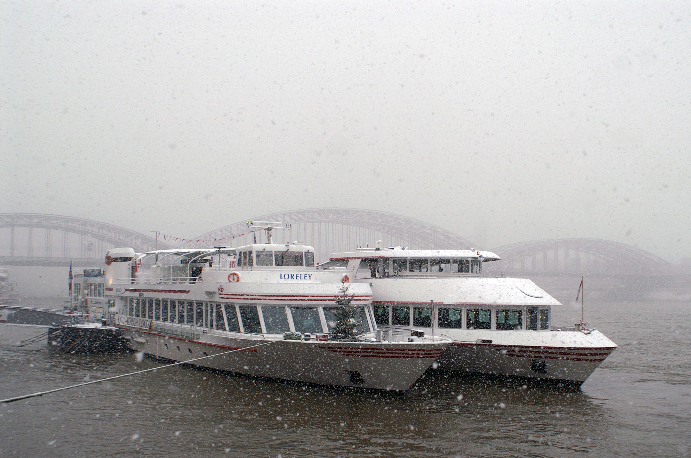 MS Godesburg026