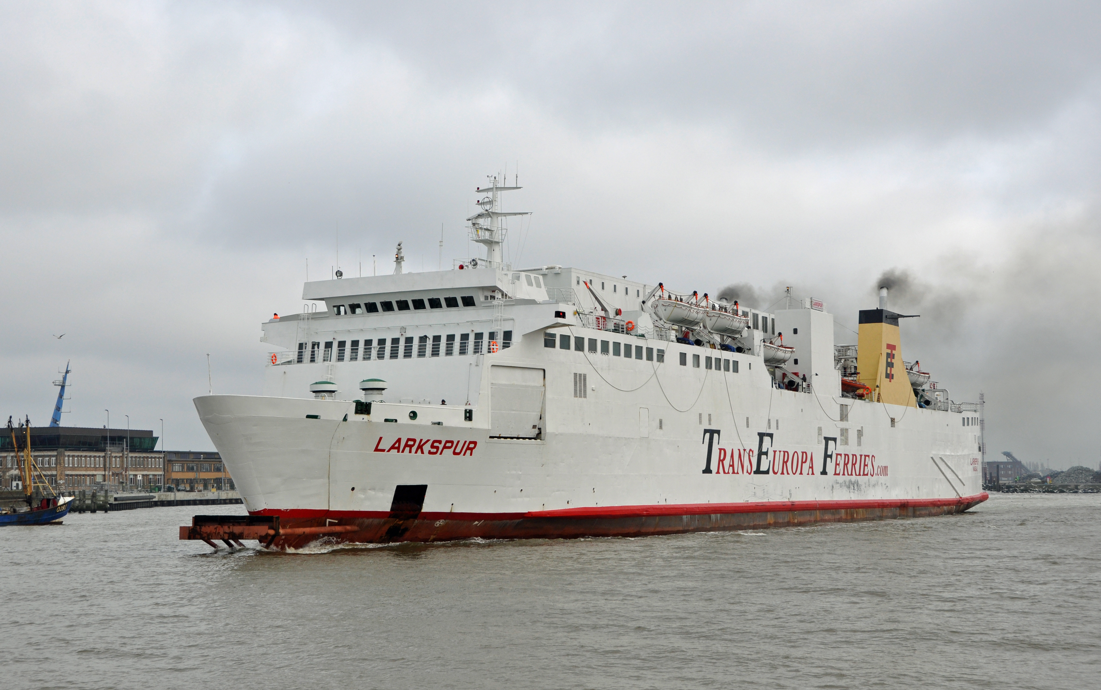 MS Larkspur R01