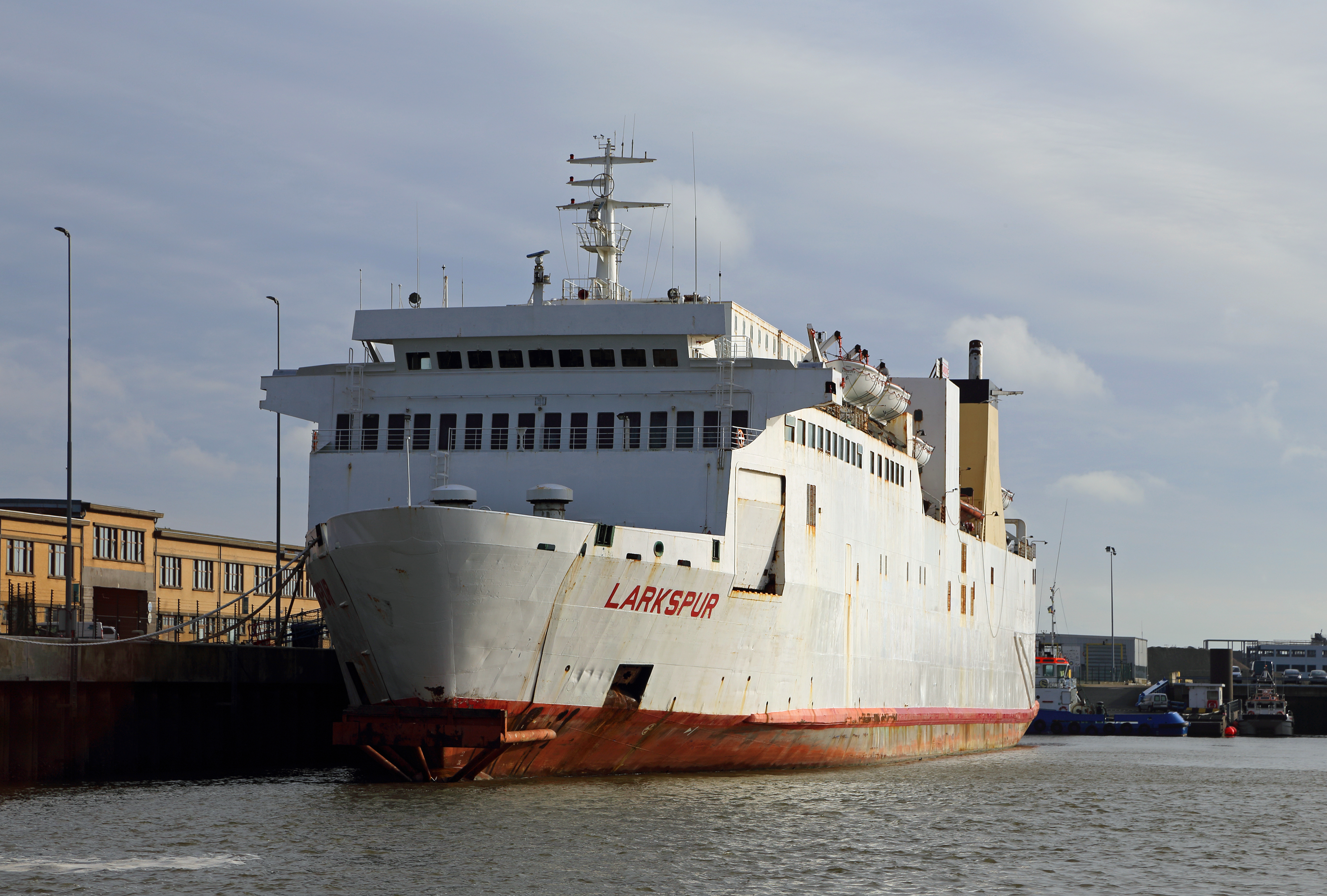 MS Larkspur R06