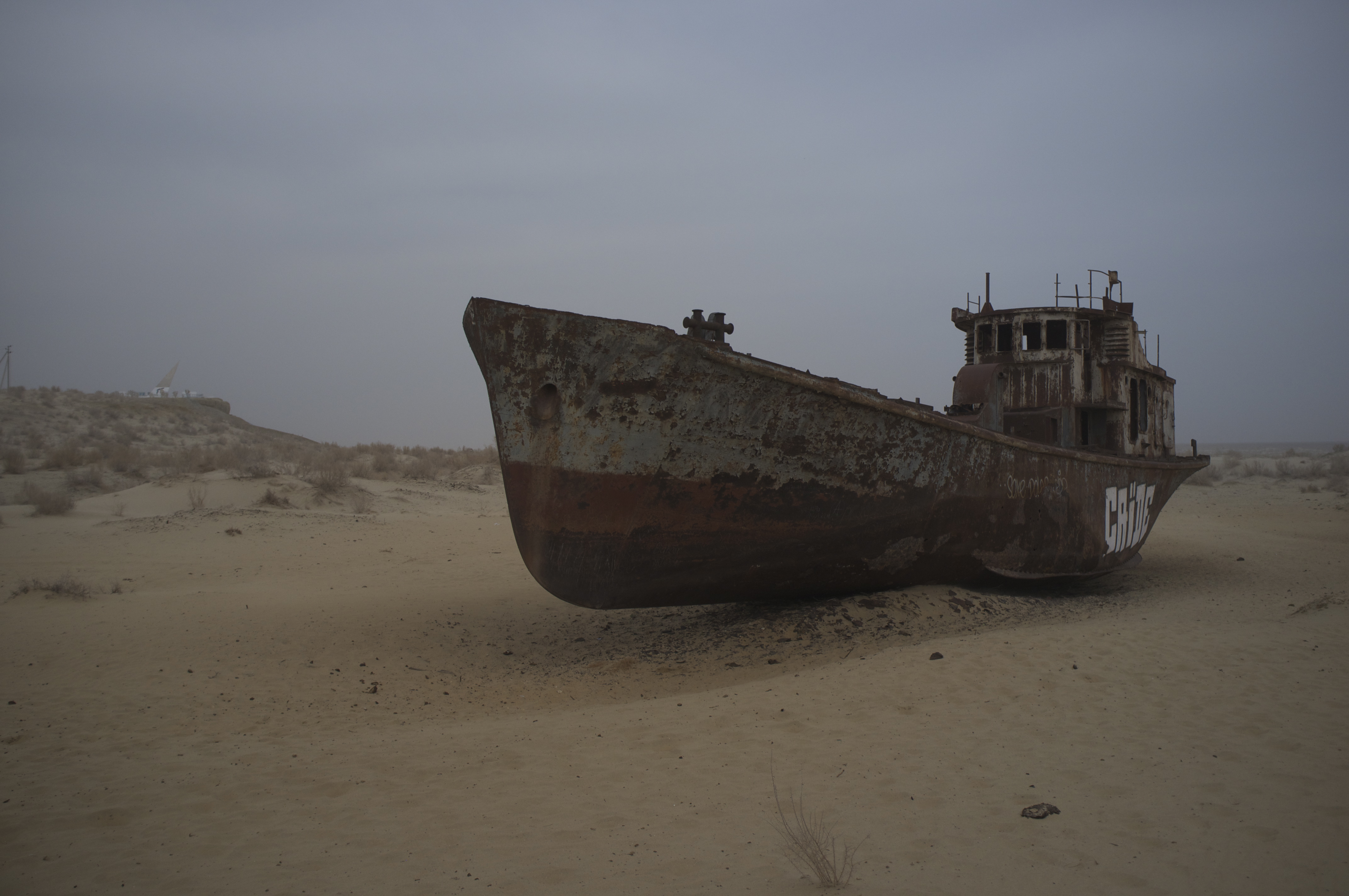 Muynak (8600893238)