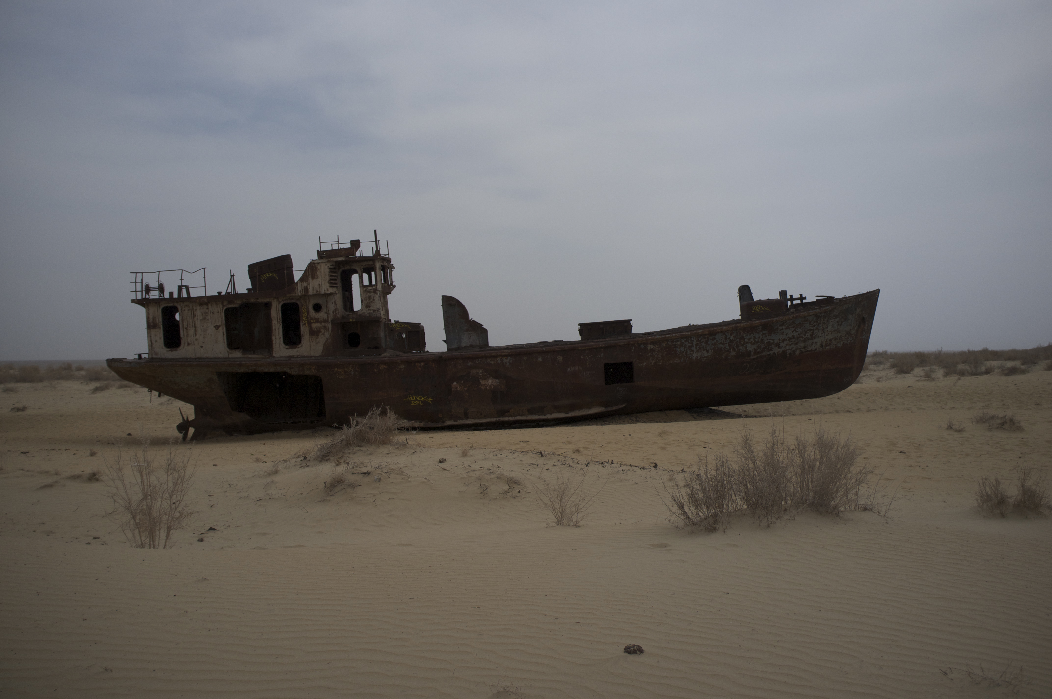 Muynak (8600894300)