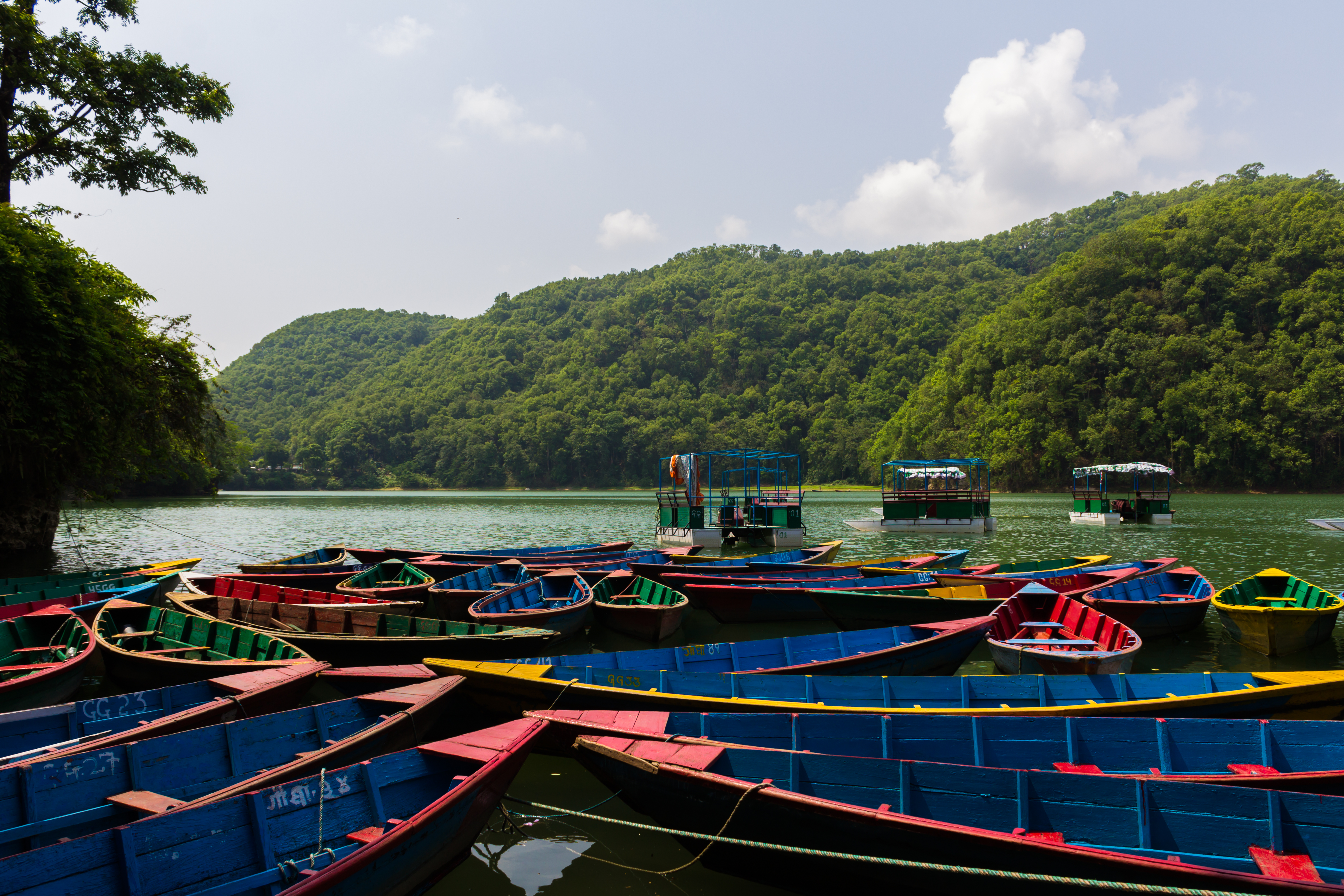 Phewa Lake 2606