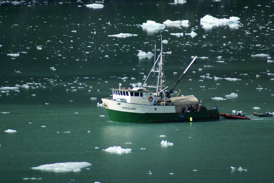 2008 Alaska Cruise 061
