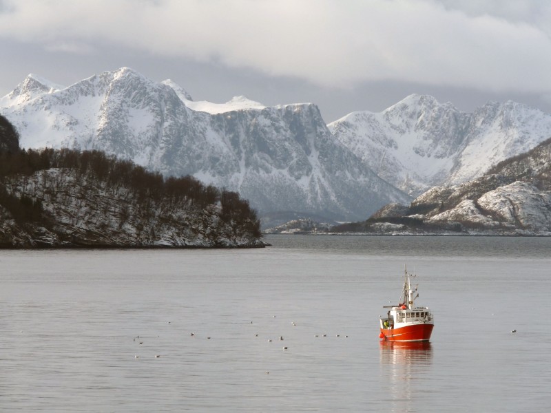 22 After Ørnes (5610869622)
