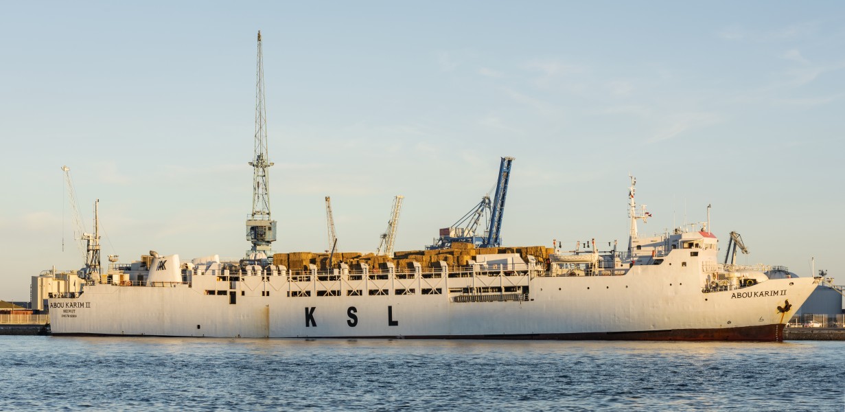 Abou Karim II (ship, 1979), Sète cf01