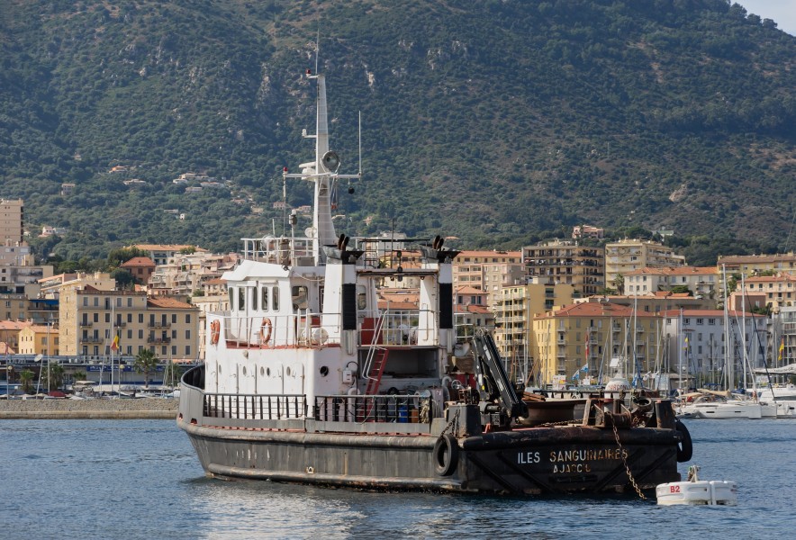 Ajaccio baliseur Iles Sanguinaires IMO 7804819