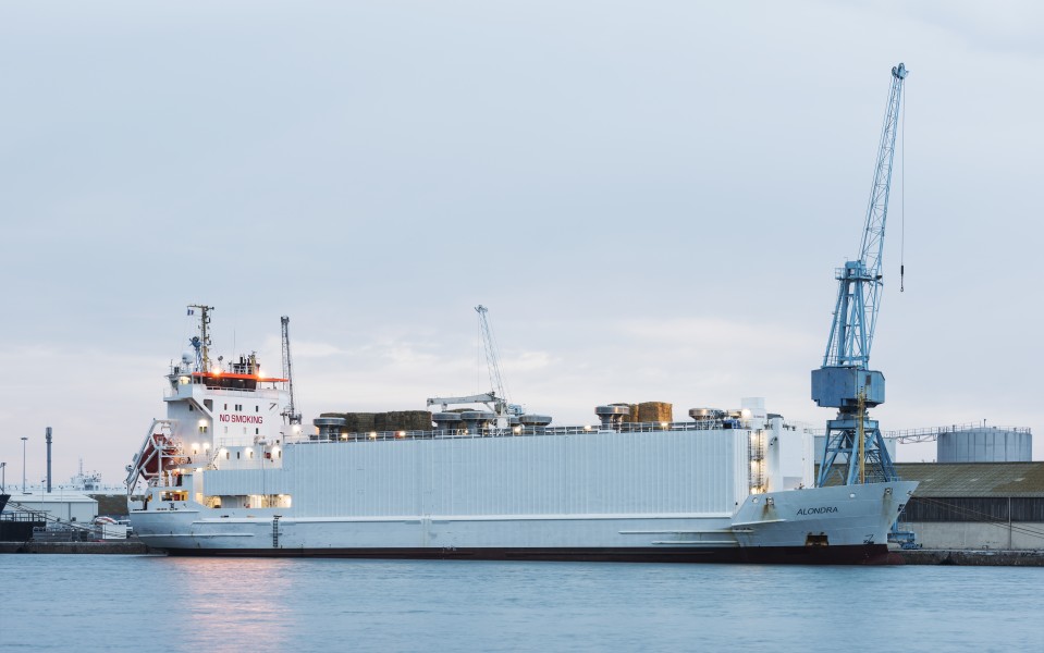Alondra (ship, 1995), Sète 01