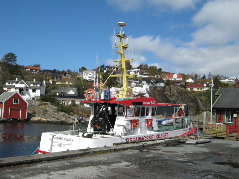 Askerbæringen i Kleppestø