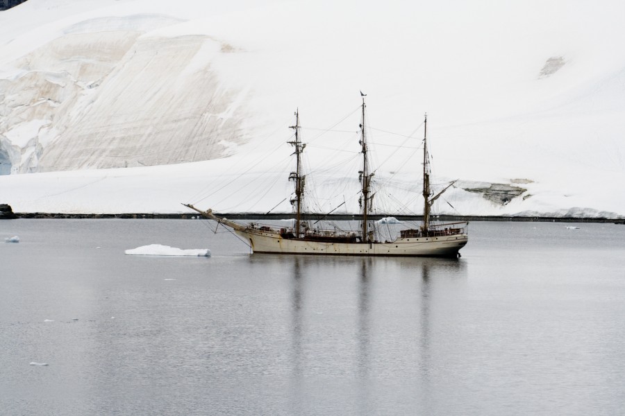 Barqueeuropainantarcticwaters