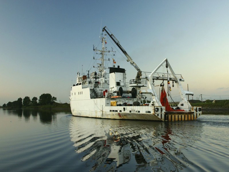 Belgica (Lissewege)