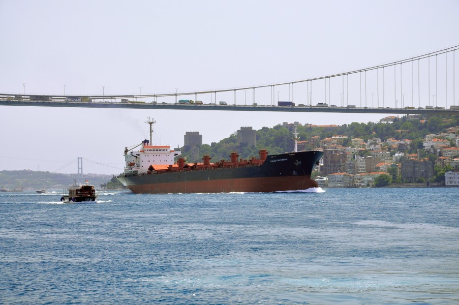 Bosphorus, Fatih Sultan Mehmet Bridge, Turkey 001