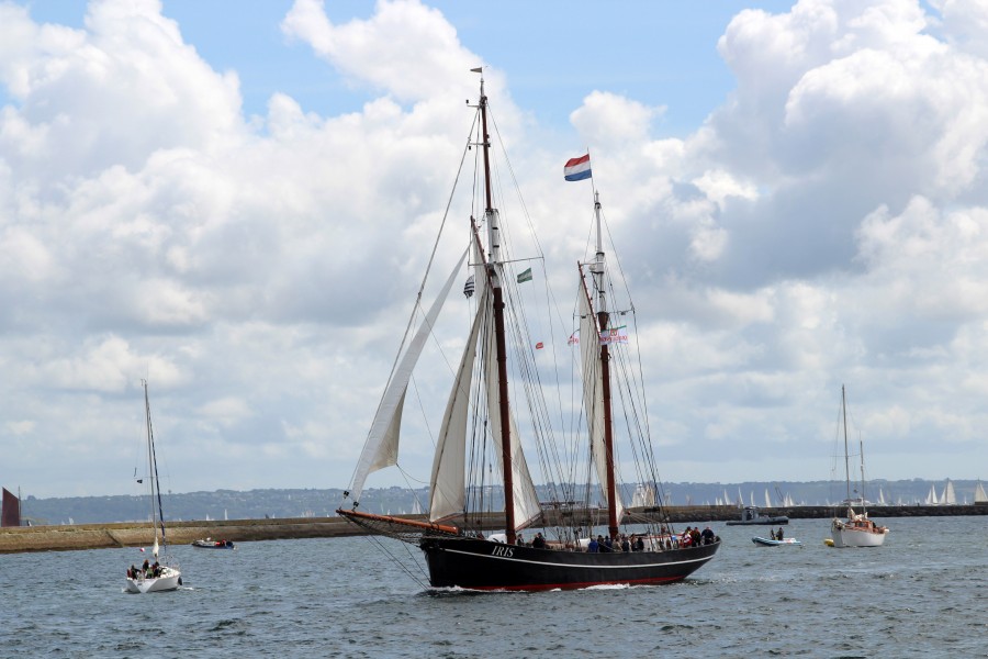 Brest 2012 Iris896