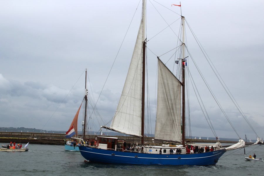 Brest 2012 Stortemelk 431