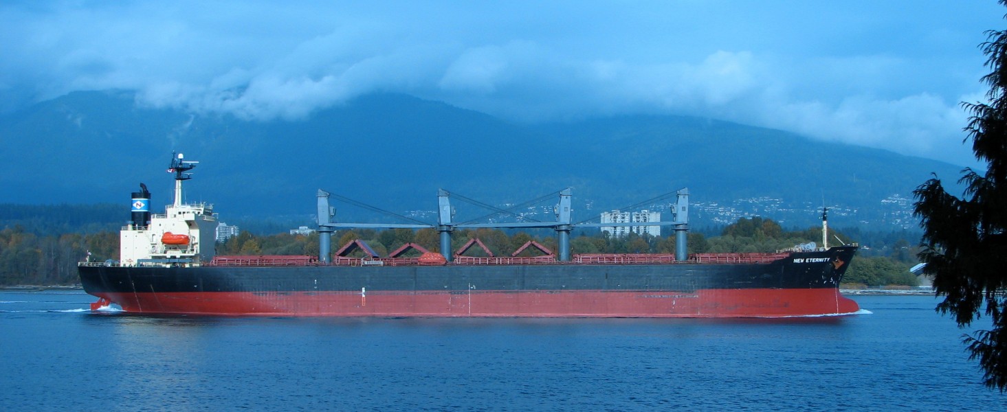 Bulk carrier New Eternity